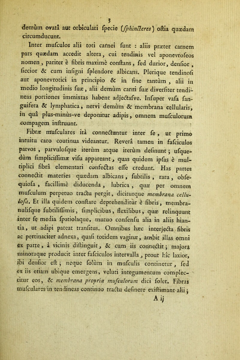 demum ovata aut orbiculari fpecie {fpKinUeres) oftia qua:dam circumducunt. Inter mufculos alii toti carnei funt : aliis pr^ter carnem pars quaedam accedit altera, cui tendinis vel aponcvrofeos nomen , pariter e fibris maxime conftans, fed durior, denfior , ficcior & cum infigni fplendore albicans. Pierique tendinofi aut aponevrotici in principio & in fine tantum , alii in medio longitudinis fuae, alii demum carni fuce diverfiter tendi- neas portiones immixtas habent adjedafve. Infuper vafa fan- guifera & lymphatica, nervi demum & membrana cellularis, in qua plus-minus-ve deponitur adipis, omnem mufculorum compagem inftruunt. Fibrae mufculares ita connedtuntur inter fe, ut primo intuitu caro coutinua videantur. Revera tamen in fafciculos parvos , parvulofque iterum atque iterum definunt; ufque- dum fimpIicifiTimae vifu appareant, quas quidem ipfas e mul- tiplici fibra elementati confedlas efle credunt. Has partes connedit materies qucedam albicans, fubtilis , rara, obfe- quiofa , facillime diducenda , lubrica , qucK per omnem mufculum perpetuo tradu pergit, diciturque membrana cdlu- lofa. Et illa quidem conftare deprehenditur h fibris, membra- nulifque fubtiliflimis, fimplicibus, flexilibus, quae relinquunt inter fe media fpatiolaque, mutuo confenfu alia in aliis hian- tia, ut adipi pateat tranfitus. Omnibus haec interjeda-fibris ac pertinaciter adnexa, quafi totidem vaginae, ambit illas omni ex parte , a vicinis diftinguit, & cum iis connedit; majora minoraque producit inter fafciculos intervalla , prout hic laxior, ibi denfior efl: ; neque folum in mufculis continetur, fed ex iis etiam ubique emergens, veluti integumentum complec- ^ titur eos, & membrana propria mufculorum dici folet. Fibras mufculares in tendineas continuo tradu definere exiftimant alii j Aij