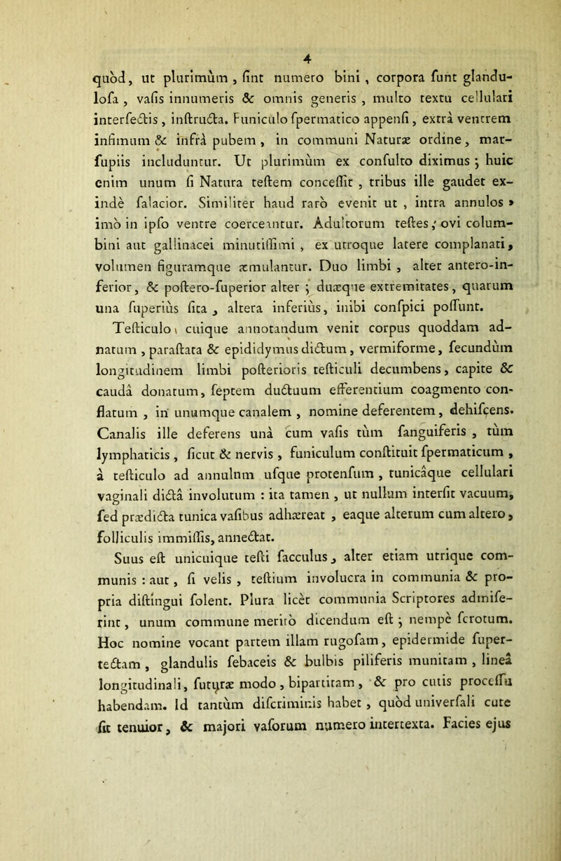 quod, ut plurimum , fint numero bini, corpora funt glandu- lofa , vafis innumeris 5c omnis generis , mulro textu cellulari inrerfe6tis , inftru6la. Funiculo fpermattco appenfi, exrra venerem infimum infrA pubem , in communi Naturje ordine, mar- fupiis includuntur. Ut plurimum ex confulto diximus j huic enim unum fi Natura teftem conceffit , tribus ille gaudet ex- inde falacior. Similiter haud raro evenit ut , intra annulos » imb in ipfo ventre coerceantur. Adultorum reftesovi colum- bini aut gallinacei minutiffimi , ex utroque latere complanari, volumen figuramque jcmulantur. Duo limbi , alter antero-in- ferior, Sc poftero-fuperior alter •, duaeque extremitates, quarum una fuperius fita , altera inferius, inibi confpici polTunt. Tefticulo V cuique annotandum venit corpus quoddam ad- natum , paraftata & epididymnsdidlum, vermiforme, fecundum longitudinem limbi pofterioris tefticuli decumbens, capite & cauda donatum, feptem duduum efferentium coagmento con- flatum , in unumque canalem , nomine deferentem, dehifcens. Canalis ille deferens una cum vafis tiim fanguiferis , tum lymphaticis , ficur & nervis, funiculum conftituit fpermaticum , a tefticulo ad annulnm ufque procenfum , tunicaque cellulari vaginali dida involutum : ita tamen , ut nullum interfit vacuum, fed prexdida tunica vafibus adhxreat , eaque alterum cum altero, folliculis immiftis, annedat. Suus eft unicuique tefti facculus, alter etiam utrique com- munis : aut, fi velis , teftmm involucra in communia & pro- pria diftingui folent. Plura licd communia Scriptores adinife- rint, unum commune merirb dicendum eft j nempe ferotum. Hoc nomine vocant partem illam rugofam, epidermide fuper- tedam , glandulis febaceis & bulbis piliferis munitam , linea longitudinali, futi^rae modo , bipartitam , & pro culis proceflu habendam. Id tantum diferiminis habet , quod univerfali cute fit tenuior, & majori vaforum numero intertexta. Facies ejus