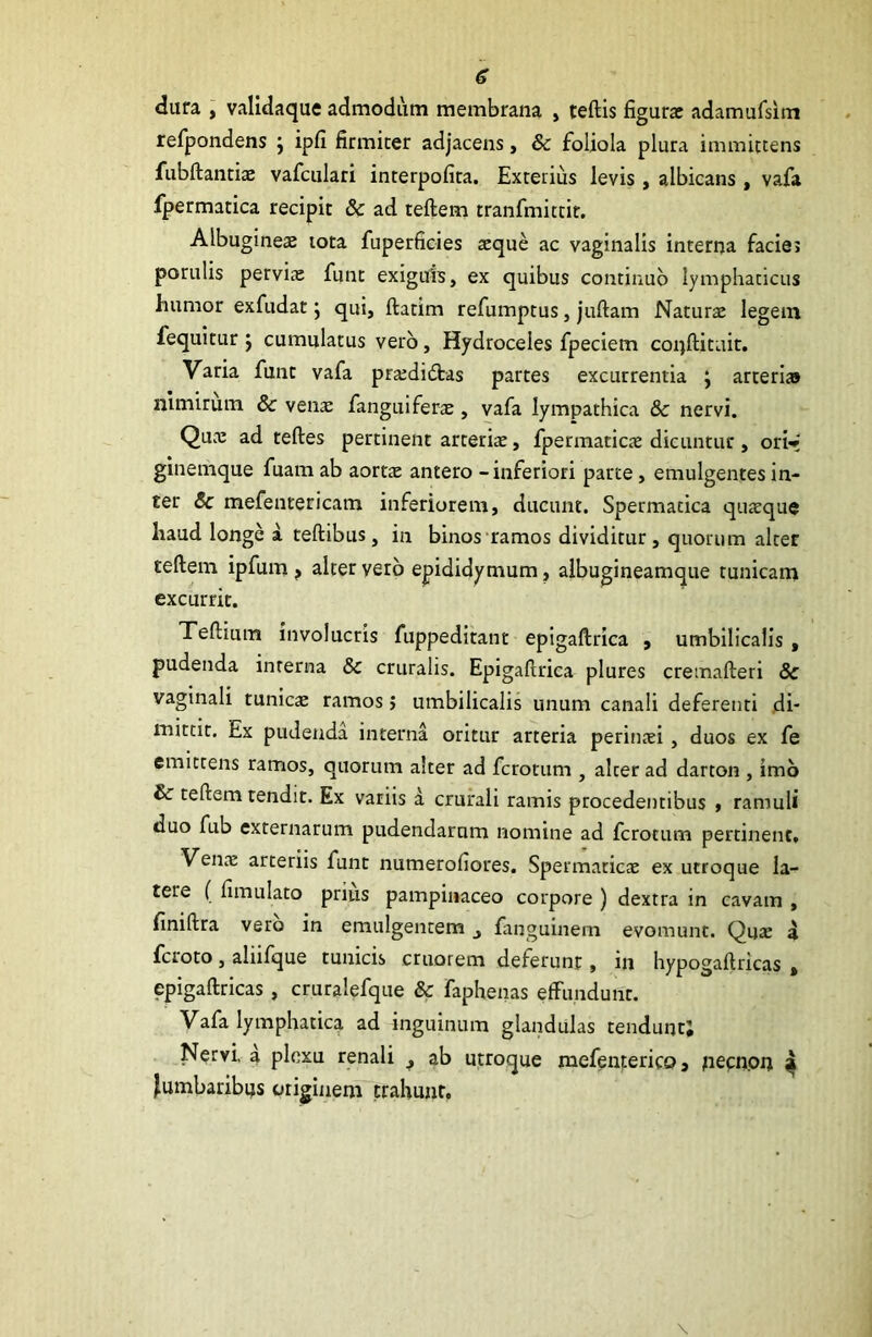 s dura , validaque admodum membrana , teftis figura: adamufsim refpondens j ipfi firmiter adjacens, & foliola plura immittens fubftantiae vafculari interpofita. Exterius levis , albicans , vafa fpermatica recipit & ad teftem tranfmittit. Albugineae tota fuperficies aeque ac vaginalis interna facie» porulis pervije funt exiguis, ex quibus continuo lymphaticus humor exfudat; qui, ftatim refumptus, juftam Naturae legem fequitur j cumulatus vero, Hydroceles fpeciem coijftituit. Varia funt vafa pra:di6bas partes excurrentia ; arterias nimirum & venae fanguiferae, vafa lympathica & nervi. Qua: ad teftes pertinent arteria, fpermaticae dicuntur , orir ginemque fuam ab aorts antero - inferiori parte, emulgentes in- ter & mefentericam inferiorem, ducunt. Spermatica quaeque haud longe a teftibus, in binos ramos dividitur, quorum alter teftem ipfum, alter vero epididymum, albugineamque tunicam excurrit. Teftium involucris fuppeditant epigaftrica , umbilicalis , pudenda interna & cruralis. Epigaftrica plures cremafteri & vaginali tunicae ramos > umbilicalis unum canali deferenti di- mittit. Ex pudenda interna oritur arteria perinjei, duos ex fe emittens ramos, quorum alter ad ferorum , alter ad darton , imb & teftem tendit. Ex variis a crurali ramis procedentibus > ramuli duo fub externarum pudendarum nomine ad ferotum pertinent. VencE arteriis funt numerofiores. Spermatica ex utroque la- tere ( fimulato prius pampinaceo corpore ) dextra in cavam , finiftra vero in emulgentem j fanguinem evomunt. Qua: a feroto, aliifque tunicis cruorem deferunt, in hypogaftricas , epigaftricas , cruralefque & faphenas effundunt. Vafa lymphaticai ad inguinum glandulas tendunt; Nervi, a plexu renali j ab utroque mefemerico, pecn.ou 4 lumbaribus originem trahunt.