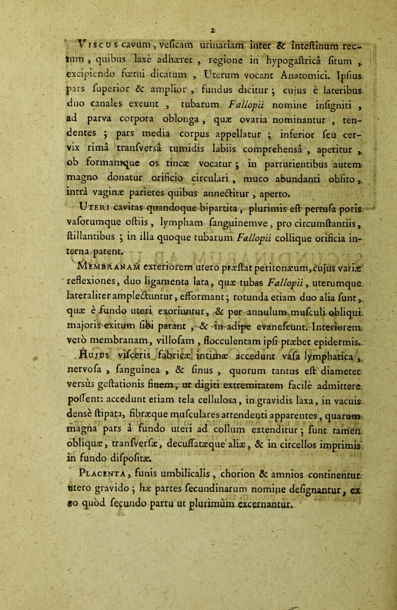 V i sc u s cavum , veficam urinariam inter & inteftinum rec- tum , quibus laxe adhaeret , regione in hypogadrica ficum , excipiendo foetiii dicatum , Uterum vocant Anatomici. Ipfius pars fuperior 8c amplior , fundus dicitur j cujus e lateribus, duo canales exeunt , tubarum Fallopii nomine infigniti , ad parva corpora oblonga, quas ovaria nominantur , ten- dentes j pars media corpus appellatur ; inferior feu cer- vix rima tranfversa tumidis labiis comprehensa , aperitur , ob formamque os tincte vocatur j in parturientibus autem magno donatur orificio circulari , nauco abundanti obfito, intra vaginae parietes quibus annedfitur , aperto» Uteri cavitas quandoque bipartita, plurimis ed pertufa poris vaforumque odiis , lympham fanguinemve , pro circumdandis, ftillantibus j in illa quoque tubarum. Fallopii collique orificia in- terna patent. Membranam exteriorem utero praedat peritonaeum,.cujus variae reflexiones, duo ligamenta lata, quae tubas Fallopii, uterumque lateraliter ampledtuntur, efformant ; rotunda etiam duo alia funt,, quae e.fundo uteri exoriuntur, & per annulum mufculi obliqui majoris exitum fibi parant , & in adipe evanefcunt. Interiorem vero membranam, villofam , flocculentam ipfi praebetepidermis». Hujus vifceris fabrica: intimae accedunt vafa lymphatica , nervofa , fanguinea , Sc finus , quorum tantus ed diameter, versus gedationis finem, ut digiti extremitatem facile admittere, poflent: accedunt etiam tela cellulosa, in gravidis laxa, in vacuis dense dipata, fibraeque mufculares attendenti apparentes, quarum magna pars a fundo uteri ad collum extenditur j funt tamen obliquae, tranfverfae, decuffataeque aliae, & in circellos imprimis in fundo difpofitte. Placenta, funis umbilicalis, chorion & amnios continentur, utero gravido } hae partes fecundinarum nomijie defignantur, ex eo quod fecundo partu ut plurimum excernantur.