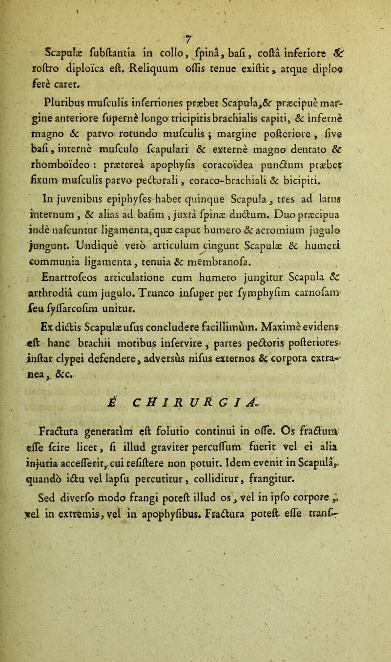 Scapulae fubftantia in collo, fpina,bafi, cofta inferiore & roftro diploica eft. Reliquum offis tenue exiftic > atque diploe fere caret. Pluribus mufculis inferriones praebet Scapula^Sc pnecipue mar- gine anteriore fuperni longo tricipitis brachialis capiti, & inferne magno & parvo rotundo mufculis ; margine pofteriore , five bafi, interne mufculo fcapulari & externe magno dentato & rhomboideo : pneterea apophyfis coracoidea pundum praebet fixum- mufculis parvo pedorali, coraco-brachiali & bicipiti. In juvenibus epiphyfes habet quinque Scapula,, tres ad latus internum , & alias ad balim , juxta fpinte dudum. Duo praecipua inde nafcuntur ligamenta, quae caput humero Sc acromium jugulo /ungunt. Undique vero articulum cingunt Scapulae Sc humeri communia ligamenta, tenuia &c membranofa. Enartrofeos articulatione cum humero jungitur Scapula Sc arthrodia cum jugulo. Trunco infuper per fymphyfim carnofam feufyffiarcolim unitur. Ex didis Scapulae ufus concludere facillimum. Maxime evidens eft hanc brachii motibus infervire, partes pedoris poftetiores- inftar clypei defendere, adversus nifus externos & corpora excra-- nea,, &c.. i CHIRURGIAl Fradura generatlm eft folutio continui in offie. Os fradunt efle fcire licet, fi illud graviter perculfum fuerit vel ei alia injuria acceflerir,. cui refiftere non potuit. Idem evenit in Scapula,* quando idu vel lapfu percutitur, colliditur, frangitur. Sed diverfo modo frangi poteft illud os, vel in ipfo corpore ^ vel in extremis, vel in apophyfibus. Fradura poteft effie tranf-r