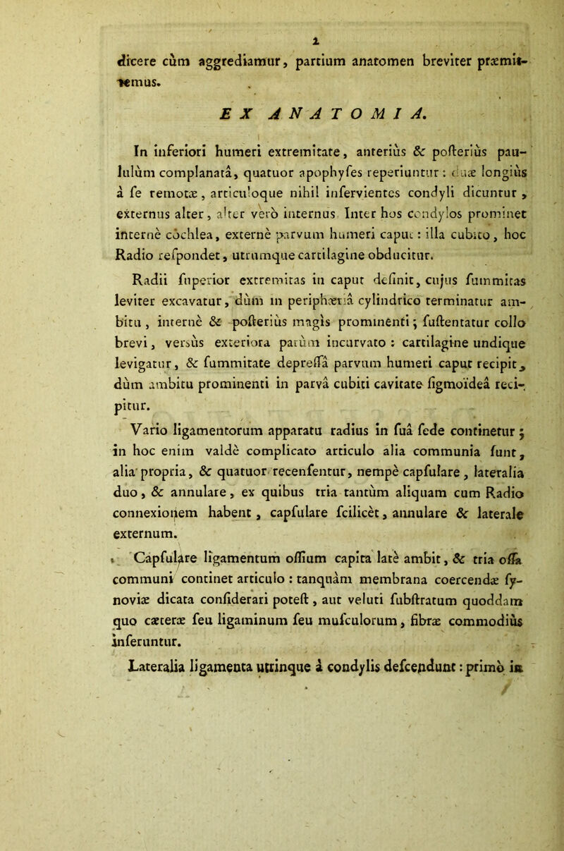 drcere cum aggrediamur, partium anaromen breviter praemit- temus. EX ANATOMI A. In inferiori humeri extremitate, anterius Sc pofterius pau- lulum complanata, quatuor apophyfes reperiuntur: < tue longius a fe remotae, articuloque nihil infervientes condyli dicuntur , externus alter, alter vero internus Inter hos condylos prominet interne cochlea, externe parvum humeri caput: illa cubito, hoc Radio refpondet, utrumque cartilagine obducitur. Radii fuperior extremitas iti caput definit, cujus futnmitas leviter excavatur, dum in periphcetia cylindrico terminatur am- bitu , interne Sc pofteriiis magis prominenti; fuftentatur collo brevi, versus exteriora parum incurvato : cartilagine undique levigatur, & fummitate deprefia parvum humeri caput recipit dum ambitu prominenti in parva cubiti cavitate figmoidea reci-. pitur. Vario ligamentorum apparatu radius in fua fede continetur; in hoc enim valde complicato articulo alia communia funt, alia propria, & quatuor recenfentur, nempe capfulare , lateralia duo, Sc annulare, ex quibus tria tantum aliquam cum Radio connexiofiem habent, capfulare fcilicet, annulare Sc laterale externum. . Capfulare ligamentum oflium capita lat£ ambit, Sc tria olla communi continet articulo : tanqnam membrana coercendte fy- noviae dicata confiderari poteft, aut veluti fubftratum quoddam quo caecerae feu ligaminum feu mulculorum, fibrae commodius inferuntur. Lateralia ligamenta utrinque a condylis defcendunt: primo ia I