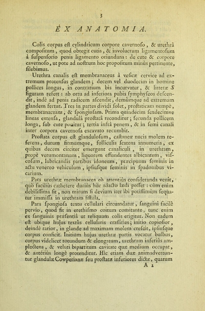 i X A N A T O M I A. Colis corpus eft cylindricum corpore cavernofo , & urethra compofitum , quod obtegit cutis, 6c involucrum ligamentofum a fufpenforio penis ligamento oriundum : de cute & corpore cavernofo, ut pote ad noftrum hoc propoiitum minus pertinente, filebimus. Urethra canalis eft membranaceus a v,eficae cervice ad ex- tremum protenfus glandem ; decem vel duodecim in homine pollices longus, in contrarium bis incurvatur, & littera; S figuram refert : ab ortu ad inferiora pubis fymphyfeos defcen- dit, inde ad penis radicem afcendit, demumque ad extremam glandem fertur. Tres in partes dividi folet, proftaticam nempe, membranaceam, & fpongiofam. Prima quindecim fexdeamve lineas extenfa, glandula proftata reconditur; fecunda pollicem longa, fub cute poaitur; tertia infra penem, & in femi canali inter corpora cavernofa excavato recumbit. Proftata corpus eft glandulofum, caftaneae nucis molem re- ferens, durum firmumque, folliculis fcatens innumeris, ex quibus decem circiter emergunt canaliculi, in urethram, prope verumonranum , liquorem effundentes albicantem , vif- cofum, lubricandis partibus idoneum, praecipuum feminis in a£hi venereo vehiculum , ipfiufque feminis in fpadonibus vi- carium. Pars urethra; membranacea eo attentius confideranda venit, quo facilius cathetere durius huc adadlo lxdi poffet : cum enim debiliftima fit, non mirum fi devium iter ibi potiflimuna feqiia- tur immiffa in urethram fiftula. Pars fpongiofa textu cellulari circumdatur, fanguini facile pervio, quod fit in erethifmo coitum comitante, tunc enim ex fanguinis praefentia ut reliquum colis erigitur. Non eadem eft ubique hujus textus cellularis craflities; initio copiofior, deinde rarior, in glande ad maximam molem crefGit, ipfiufque corpus conficit. Initium hujus urethrae partis vocatur bulbus, corpus videlicet rotundum & elongatum, urethram inferius am- plerftens , & veluti bipartitum cavitate qux medium occupat, & anterius longe protenditur. Hic etiam dux animadvertun- tur glandula; Cowperianae feu proflatae inferiores dicftae, quarum