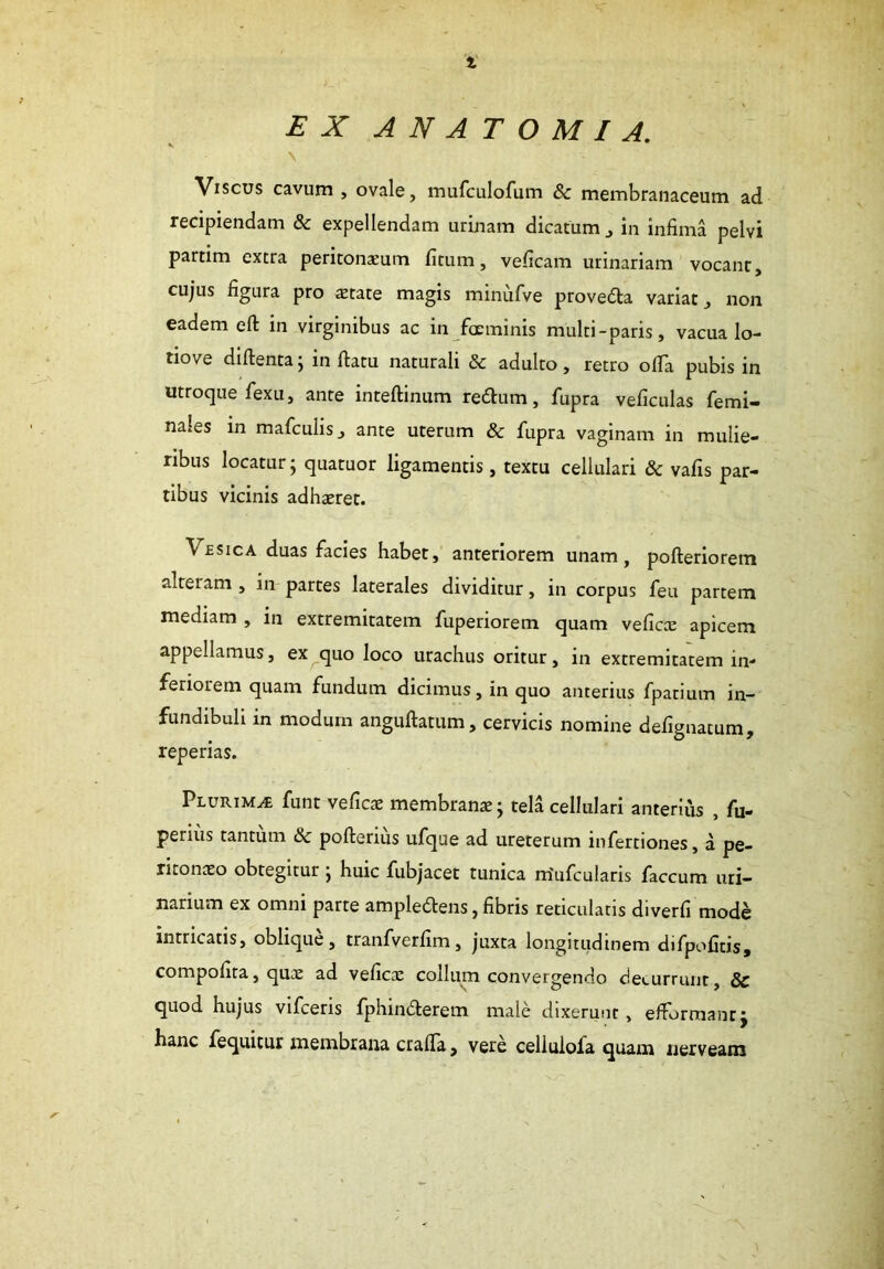 EX ANATOMI A, Viscus cavum , ovale, mufculofum & membranaceum ad recipiendam & expellendam urinam dicatum , in infima pelvi partim extra peritonaeum fitum, veficam urinariam vocanr, cujus figura pro astate magis minufve proveda variat, non eadem eft in virginibus ac in focminis multi-paris, vacua lo- tiove diftenta ; in ftatu naturali & adulto, retro olfa pubis in utroque fexu, ante inteftinum redum, fupra veficulas femi- na:es in mafculis, ante uterum & fupra vaginam in mulie- ribus locatur; quatuor ligamentis, textu cellulari & vafis par- tibus vicinis adhaeret. Vesica duas facies habet, anteriorem unam, pofteriorem alteram , in partes laterales dividitur, in corpus feu partem mediam , in extremitatem fuperiorem quam veficae apicem appellamus, ex quo loco urachus oritur, in extremitatem in- feriorem quam fundum dicimus, in quo anterius fpatium in- fundibuli in modum anguftatum, cervicis nomine defignatum, reperias. Plurima funt veficae membranae; tela cellulari anterius , fu- perius tantum & pofterius ufque ad ureterum infertiones, a pe- ritonaeo obtegitur; huic fubjacet tunica rriufcularis faecum uri- narium ex omni parte ampledens, fibris reticulatis diverfi mode intricatis, oblique, tranfverfim, juxta longitudinem difpofitis, compofita, quae ad veficae collum convergendo decurrunt, & quod hujus vifceris fphinderem male dixerunt, effbrmantj hanc fequitur membrana crafla, vere cellulola quam uerveam