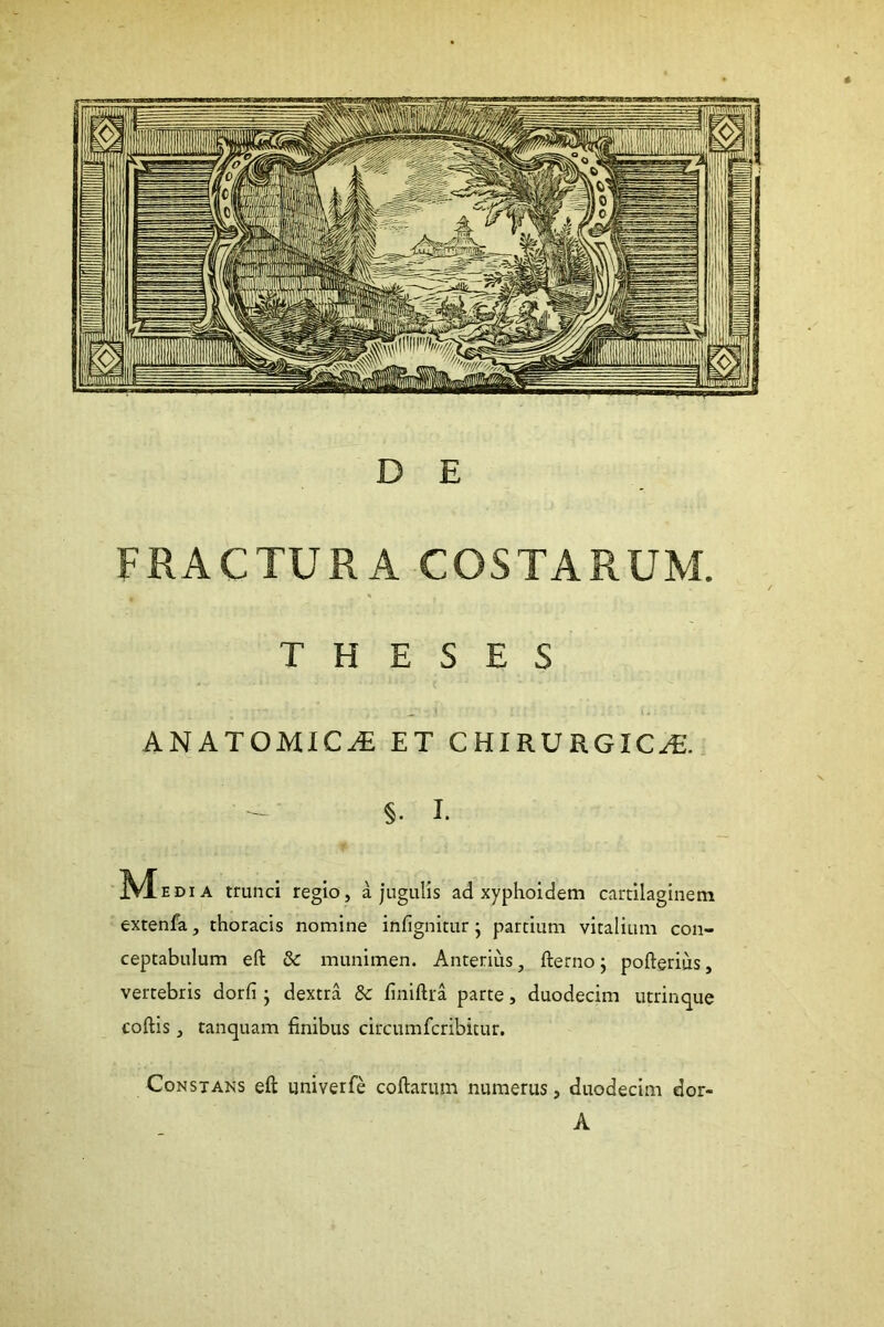 D E FRACTURA COSTARUM. THESES ANATOMICA ET CHIRURGICA;. §. I. Mb..a trunci regio, a jugulis ad xyphoidem cartilaginem extenfa, thoracis nomine infignitur 5 partium vitalium con- ceptabulum eft & munimen. Anterius, fterno 5 pofterius, vertebris dorfi • dextra & finiftra parte, duodecim utrinque coftis, tanquam finibus circumfcribitur. Constans eft univerfe coftarum numerus, duodecim dor- A