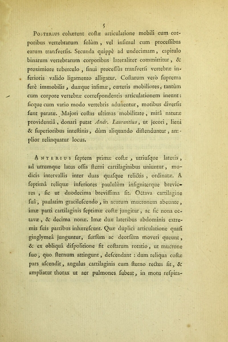 PostERius cohierent coftac articulatione mobili cum cor- poribus vertebrarum folum , vel infimul cum procefTibus earum tranfverfis. Secunda quippe ad undecimam, capitulo binarum vertebrarum corporibus lateraliter committitur, & proximiore tuberculo , finui proceflTus tranfverfi vertebrte in- ferioris valido ligamento alligatur. Codarum vero fuprema fere immobilis j duasque infimte, cmteris mobiliores, tantum cum corpore vertebrae correfpondentis articulationem ineunt: iicque cum vario modo vertebris adunentur, motibus diverfis funt paratae. ^ Majori codas ultimas mobilitate, mira naturae providentia , donari putat Andn Laurentius, ut jecori, lieni & fuperioribus intedinis, dum aliquando didenduntur , am - plior relinquatur locus. A T E RI u s feptem primae coda: , utriufque lateris, ad utrumque latus odis derni cartilaginibus uniuntur, mo- dicis intervallis inter duas quafque relitdis , ordinatae. A feptima reliquae inferiores paululum infigniterque brevio- res , fic ut duodecima brevidima dt. Odtava cartilagine fua, paulatim gracilefcendo , in acutum mucronem abeunte, imae parti cartilaginis feprimae codae jungitur, ac fic nona oc- tavae , & decima non^. Imae duae lateribus abdominis extre- mis fuis partibus inhaerefcunt. Quae duplici articulatione quafi ginglymea junguntur, furfum ac deorfum moveri queunt, & ex obliqua difpofitione fit codarum rotatio, ut mucrone fuo, quo dernum attingunt, defcendanr : dum reliqua codae pars afcendit, angulus cartilaginis cum derno redus fit, bc ampliatur thorax ut aer pulmones fubeat, in motu refpira-