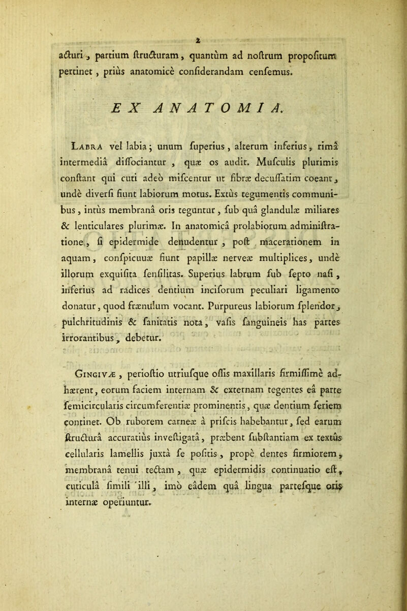 i adluri j partium ftrudluram, quantum ad noftrum propofitum pertinet , prius anatomice confiderandam cenfemus. EX ANATOMI A. Labra vel labia; unum fuperius, alterum inferius, rima intermedia diflbciantur , qu* os audit. Mufculis plurimis conftant qui cuti adeo mifcentur iit fibrse decufTatim coeant j unde diverfi fiunt labiorum motus. Extus tegumentis communi- bus , intus membrana oris teguntur, fub qua glandulx miliares & lenticulares plurimae. In anatomica prolabiorum adminiftra- tione,, fi epidermide denudentur , poft macerationem in aquam, confpicuu^e fiunt papillx nervese multiplices, unde illorum exquifita fenfilitas. Superius labrum fub fepto nafi , inferius ad radices dentium inciforum peculiari ligamento donatur, quod fraeniilum vocant. Purpureus labiorum fplendor_, pulchritudinis 6c fanitatis nota, vafis fanguineis has partes irrorantibus', debetur. Gingiva , perioftio utriufque offis maxillaris firmiffime ad- haerent, eorum faciem internam Sc externam tegentes ea parte femicirculariscircumferentia prominentis, quae dentium feriem continet. Ob ruborem carneae a prifcis habebantur, fed earum ftrudura accuratius inveftigata, praebent fubftantiam ex textus cellularis lamellis juxta fe politis, prope dentes firmiorem, membrana tenui tedam , quae epidermidis continuatio eft, cuticula fiinili 'illi, imb eadem qua lingua partefque oiis^ internae openuntur.