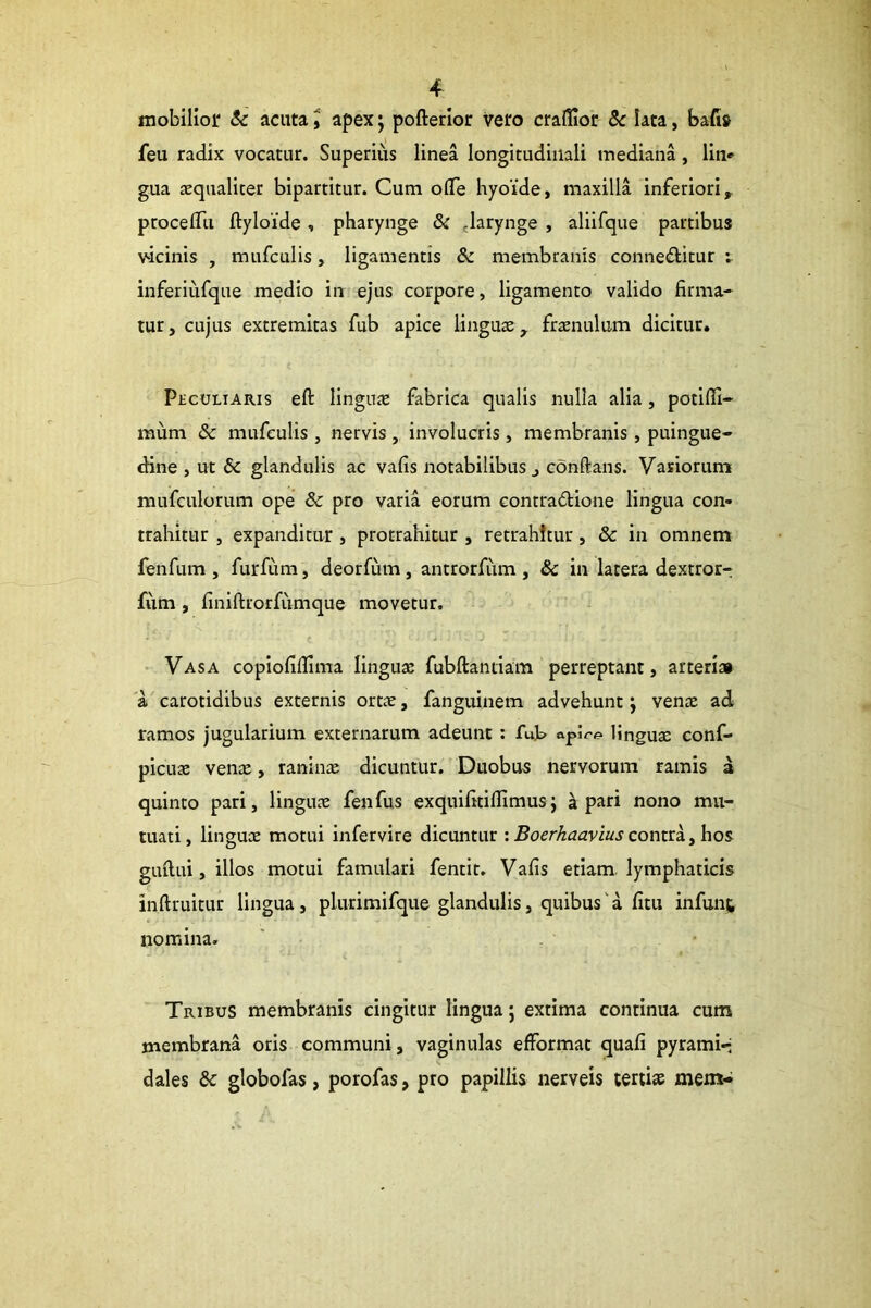 mobilior & acuta J apex; pofterior vero craflioc 5c lata, bafi» feu radix vocatur. Superius linea longitudinali mediana, lin» gua aequaliter bipartitur. Cum oflTe hyoide, maxilla inferiori, procelTu ftyloide, pharynge & ^larynge , aliifque partibus vicinis , mufculis, ligamentis & membranis conneflitur inferiufque medio in ejus corpore, ligamento valido firma- tur, cujus extremitas fub apice linguae, fraenulum dicitur. Peculiaris eft linguju fabrica qualis nulla alia, potifli- mum & mufculis , nervis , involucris, membranis, puingue- dine , ut & glandulis ac vafis notabilibus, conftans. Variorum niLifculorum ope 8c pro varia eorum contradtione lingua con- trahitur , expanditur , protrahitur , retrahitur, & in omnem fenfum , furfum, deorfum, antrorfum , & in latera dextror-. fum, finiftrorfumque movetur, • Vasa copiofiflima linguae fubftantiam perreptant, arterias 'a carotidibus externis ortae, fanguinem advehunt j venae ad ramos jugularium externarum adeunt : fujb linguae conf- picuae venae, raniiiae dicuntur. Duobus nervorum ramis a quinto pari, linguae fenfus exquifitillimus} a pari nono mu- tuati, linguae motui infervire dicuntur : Boerkaavius conzvk guftui, illos motui famulari fentit. Vafis etiam, lymphaticis inftruitur lingua, plurimifque glandulis, quibus'a fitu infunt nomina. Tribus membranis cingitur lingua; extima continua cum membrana oris communi, vaginulas efformat quafi pyrami-j dales 8c globofas, porofas, pro papillis nerveis tertiae mem-