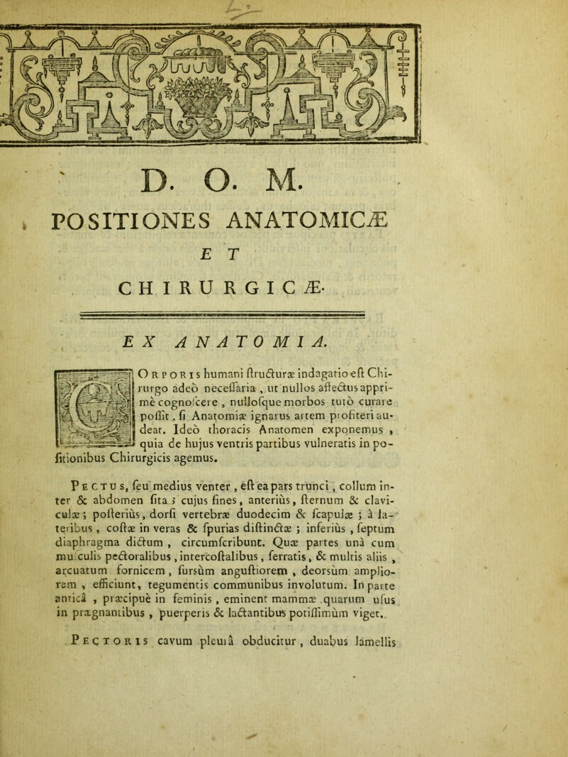 , POSITIONES ANATOMICjE E T HIRURGICjE- X ANATOMl A. O R p O RI s humani ftrudurse indagatio eft Chi- rurgo adeo neceflaria , ut nullos affedus appri- me cognofcei e , nullor^ue morbos tuto curare poflit, fi Anatoraiae ignarus artem profiteri au- deat. Ideo thoracis Anatomen exponemus » quia de hujus ventris partibus vulneratis in po- litionibus Chirurgicis agemus, P E c T u s, feu medius venter , eft ea pars trunci, collum in- ter & abdomen fita j cujus fines, anterius, fternum & clavi- culae; polierius, dorfi vertebrae duodecim & fcapulae ; h la- teribus , coftae in veras & fpurias diftindae ; inferius , feptum diaphragma didfum , circumfcribunc. Qux partes una cum mu.culis pedoralibus ,intercoftalibus, ferratis, & multis aliis , arcuatum fornicem, fursiim anguftiorem , deorsum amplio- rem , efficiunt, tegumentis communibus involutum. In parte antica , praecipue in feminis, eminent mammte quarum ufus in prxgnaniibus , puerperis & ladtantibus potiflimum viget.. ; Pectoris cavum pleuia obducitur, duabus lamellis