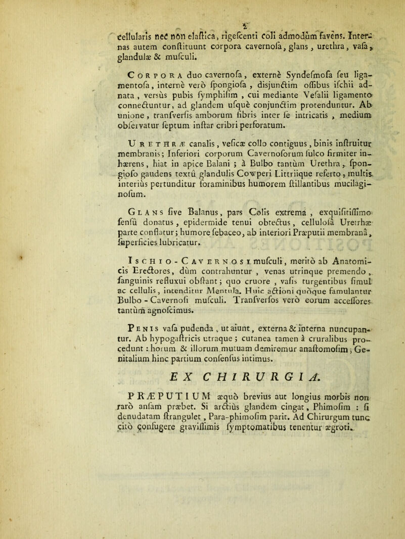 cellularis ttetf nftii elafllca, rlgelcenti coli admodum favens. Inter- nas autem conftituunt corpora cavernola, glans, urethra, vafa> glandulae & mufculi. Corpora duo cavernofa, externe Syndefmofa feu liga- mentofa, interne vero fpongiofa , disjundim oflibus ifchii ad- nata , versus pubis fymphifim , cui mediante Vefalii ligamentor conneduntur, ad glandem ufque conjundtim protenduntur. Ab unione , tranfverfis amborum fibris inter le intricatis , medium oblervatur feptum infiar cribri perforatum. U R E T H R ^ canalis, veficae collo contiguus, binis inftruitur membranis; Inferiori corporum Cavernoforumfulco firmiter in- haerens, hiat in apice Balani ; ^ Bulbo tantum Urethra, fpon- gipfo gaudens textu glandulis Cowperi Littriique referto, multis, interius pertunditur foraminibus humorem ftillantibus mucilagi- nofum. Glans five Balanus, pars Colis extrema , exquifitifilimo fenfu donatus, epidermide tenui obtedus, cellulofa Uretrhae parte conflatur; humore febaceo, ab interiori Praeputii membrana, fiaperficies lubricatur. Ischio-Cavernosi mufculi, merito ab Anatomi- cis Eredores, dum contrahuntur , venas utrinque premendo, fanguinis refluxui obfiant; quo cruore , vafis turgentibus firaul ac cellulis, Intenditur Mentula. Hnic adioni quoque famulantur Bulbo - Cavernofi mufculi. Tranfverfos vero eorum accelTores tanturn agnolcimus. Penis vafa pudenda , ut aiunt, externa & mterna nuncupan- tur. Ab hypogaftricis utraque ; cutanea tamen a cruralibus pro- cedunt :,horum & illorum mutuam demiremur anafiornofim; Ge- nitalium hinc partium confenfus intimus. EX CHIRURGIA. PRiEPUTIUM aequo brevius aut longius morbis non raro anfam praebet. Si ardius glandem cingat, Phimofim ; fi denudatam ftrangulet, Para-phimofim parit. Ad Chirurgum tunc cito qonfugere gravilfimis fymptomatibus tenentur aegroti..