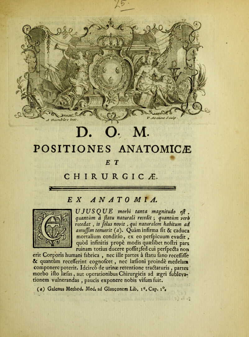 POSITIONES ANATOMICAE £ T H I R U R G I C X AN AT 0 Mf A. U JU S QU E morbi tanta magnitudo ejl , quantum d Jiatu naturali recedit; quantum veri recedat , is folus novit ^ qui naturalem habitum ad amujjim tenuerit (a). Quam infirma fit & caduca mortalium conditio, ex eo perfpicuum evadit , qubd infinitis prop^ modis quselibet noftri pars ruinam totius ducere poflltjfed cui perfpedla non erit Corporis humani fabrica , nec ille partes a ftatu fano recefllfle & quantum receflferint cognofcet, nec laefioni proinde medelam componere poterit. Idcircb de urinse retentione tradlaturis , partes morbo i fio Iccfas, aut operationibus Chirurgicis ad ajgri fiibleva» tionem vulnerandas , paucis exponere nobis vifum fuit. (tf) Galenus Methodt Med. ad Glauconem Lib, i«, Cap.