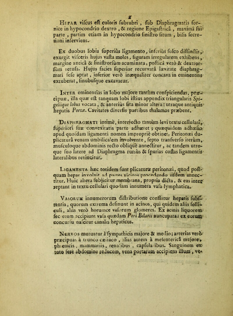 Hepar vlfcus eft coloris fubrubrl , fub Diaphragmatis for- nice in hypocondrio dextro , & regione Epigaftrica , maxima fuit parte , partim etiam in hypocondrio finiliro fitum , bilis fecre- tioni inferviens.' Ex duobus lobis fuperius ligamento, inferius fulco diftlndls,'> exurgit vifceris hujus vafta moles, figuram irregularem exhibens ,• margine antica & finiftrorlum acuminata, poftica vero & dextror- fum letufa. Hujus facies fuperior recurvata laevitate diaphrag- mati fefe aptat, inferior vero inaet^ualiter concava in eminentias extuberat, iinubufcjue excavatur. Inter eminentias iri lobo majore tantum confpiclendas, praff-i' clpuae, illa quas efl; tanquam lobi iftius appendix triangularis Spi- geliique lobus vocata, & anterius fita minor alterat urraque antiquis* hepatis Port<«. Cavitates diverfis panibus thalamos praebent. D iAphragmAti intime, inrerjefto tantum levi textu cellulari fuperiori fuse ccmvexitaris parte adhaeret ; quaequidem adhaefio apud quoidam ligamenti nomen improprie obtinet. Peritonei du- plicatura venam umbilicalem involvente , fepto tranfverfo iterum, mufculoque abdominis redo oblique annedlitur, ac tandem utro- que fuo latere ad Diaphragma rursus & fpurias coftas ligamentis ■ lateralibus revincitur. Ligamenta haec totidem funt plicaturi peritonii, quod poft-' quam hepar involvit nc\ partae vii*inac pror^rlendo iifdem annec- titur. Huic alt^a fubjiciturmembrana, propria dida, & eas intey Kptanc in texfu cellulari quodam innumera vafa lymphatica. Vasorum innumerorum diftributiofle conflatur hepatis fubl^ • tantia, quorum extrema definunt in acinos, qui quidem aliis folli- culi , aliis vero horuince vaforum glomeres. Ex acinis liquorem- fecieium accipiunt vafa quaedam Pori Bilarii nuncupatas ex eoruoj» concurfu nafeitur canalis hepaticus. Nervos mutuatur ^ fympathicis majore & medio; arterias vero^ praecipuas a tiunco caeiiaco , alias autem a melentericS majore» phienicis. mammariis, renalibus , capfula<ibus. Sanguinem ex- ioto fere abdomine leducem, vena portarum accipiens illum,