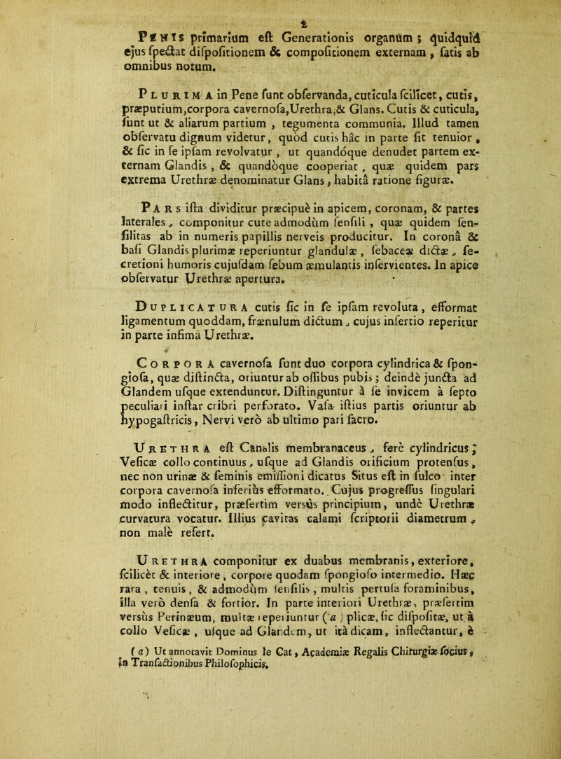 t P«MTs primarium eft Generationis organum; Quidquid ejus fpedat difpontionem & compodclonem excernam , {acis ab omnibus notum. Plurima in Pene funt obfervanda, cuticula fcillcet, cutis, prajputium,corpora cavernofa,Urethra,& Glans. Cutis &c cuticula, funt ut & aliarum partium , tegumenta communia. Illud tamen obfervatu dignum videtur, quod cutis hac in parte fit tenuior , & fic in fe ipTam revolvatur , ut quandoque denudet partem ex- ternam Glandis, & quandbque cooperiat, quae quidem pars extrema Urethras denominatur Glans, habita ratione figur*. Pars illa dividitur praecipui in apicem, coronam, & partes laterales ^ componitur cute admodum fenfili, quae quidem fen- filitas ab in numeris papillis nerveis producitur. In corona & bafi Glandis plurimae reperiuntur glandulae, febace» didae ^ fe- cretioni humoris cujufdam febum aemulantis infervientes. In apice obfervatur Urethrae apertura. Duplicatura cutis fic in fe Ipfam revoluta, effbrmac ligamentum quoddam, fraenulum dicSum ^ cujus infertio reperitur in parte infima Urethrae. ♦ Corpora cavernofa funt duo corpora cylindrica & fpon- glofa, quae djftinda, oriuntur ab oflibus pubis; deinde junfta ad Glandem ufque extenduntur. Dlftinguntur ^ le invicem a fepto peculiari inftar cribri perforato. Vafa- iftius partis oriuntur ab hypogaftricis, Nervi yero ab ultimo pari facio. Urethra efl: Canalis membranaceus ^ fere cylindricus J Veficae collo continuus, ufque ad Glandis orificium protenfus, nec non urinae & feminis emilfioni dicatus Situs eft in fulco inter corpora cavernofa inferias efformato.. Cujus progreflus fingulari modo infleditur, prsefertim versus principium, unde Urethr* curvatura vocatur. Illius cavitas calami fcriptorii diametrum ^ non male refert. Urethra componitur ex duabus membranis, exteriore, fcllicet & interiore , corpore quodam fpongiofo intermedio. Haec rara, tenuis, & admodiim ienfilis, multis pertufa foraminibus, illa vero denfa & fortior. In parte interiori Urethrae, prsefeitim versus Perinaeum, multae lepeiiuntur ( a i plicae, fic difpofitae, ut R collo VeGcje , ulque ad Glar.dtm, ut it^dicam, infledantur, i ((j) Ut annotavit Dominus le Cat, Academi» Regalis Chifurgi» Ibcius t in TranfadionibusPhilofophicis,