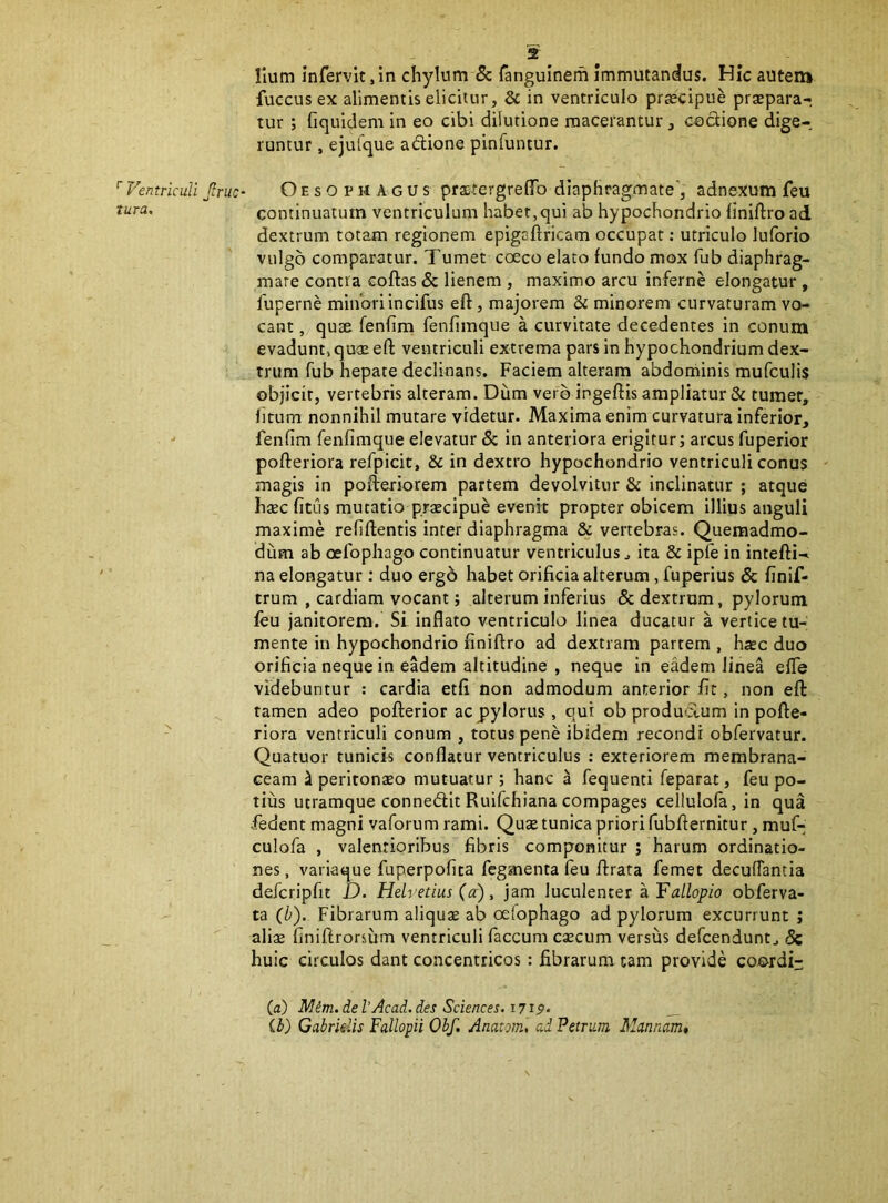 tura. Ilum infervit, In chylum 5c fangulnem immutandus. Hic autem fuccusex alimentis elicitur, & in ventriculo pr^cipue prxpara-, tur ; fiquidem in eo cibi dilutione macerantur, cadione dige-. runtur, ejulque adione pinfuntur. continuatum ventriculum habet,qui ab hypochondrio liniftro ad dextrum totam regionem epigaftricam occupat: utriculo luforio vulgo comparatur. Tumet coeco elato fundo mox fub diaphrag- mate contra coftas 8c lienem , maximo arcu inferne elongatur , fuperne minori incifus eft, majorem & minorem curvaturam vo- cant , quse fenfirn fenfimque a curvitate decedentes in conum evadunt, qu3i eft ventriculi extrema pars in hypochondrium dex- trum fub hepate declinans. Faciem alteram abdominis mufculis objicit, vertebris alteram. Dum vero ingeftis ampliatur & tumet, litum nonnihil mutare videtur. Maxima enim curvatura inferior, fenfirn fenfimque elevatur & in anteriora erigitur; arcus fuperior pofteriora refpicit, & in dextro hypochondrio ventriculi conus magis in pofteriorem partem devolvitur & inclinatur ; atque hsEC fitus mutatio praecipue evenit propter obicem illius anguli maxime refiftentis inter diaphragma & vertebras. Quemadmo- dum ab oefophago continuatur ventriculus ^ ita & ipfe in intefti- na elongatur: duo ergb habet orificia alterum, fuperius & finlf- trum , cardiam vocant; alterum inferius & dextrum, pylorum feu janitorem. Si inflato ventriculo linea ducatur a vertice tu- mente in hypochondrio finiftro ad dextram partem , hxc duo orificia neque in eadem altitudine , neque in eadem linea effe videbuntur : cardia etfl non admodum anterior fit, non eft tamen adeo pofterior ac pylorus, qui obprodudum in pofte- riora ventriculi conum , totus pene ibidem recondi obfervatur. Quatuor tunicis conflatur ventriculus : exteriorem membrana- ceam H peritonaeo mutuatur; hanc a fequenti feparat, feu po- tius utramque connedit Ruifehiana compages cellulofa, in qua •fedent magni vaforum rami. Quse tunica priori fubfternitur, muf- culofa , valentioribus fibris componitur ; harum ordinatio- nes , variaque fuperpofita fegmenta feu ftrata femet decuflantia defcripfit D. Helvetius (a), jam luculenter a obferva- ta (b). Fibrarum aliquae ab oelophago ad pylorum excurrunt ; aliae finiftrorsum ventriculi faecum caecum versus defeendunt^ & huic circulos dant concentricos : fibrarum tam provide coordi- (a) Mim.ieVAcad. des Sciences. 1719> __ ih) Gabridis Fallopii Ohf, Anatom, ad Petrum Mannamt