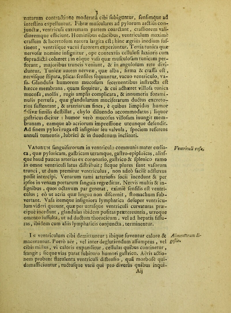 •natarum contractione moderata cibi fubiguntur, fenfim^ue ad inteftina expelluntur. Fibra mufculares ad pylorum arctius con- junct®, ventriculi extremam partem coarddant, crairiorem vali- dioremque efficiunt. Hominibus edacibus, ventriculum maxime crafTum &lacertofum natura largita efl; bine aegrius inediam fuf- tinent, ventrifque vacui furorem experiuntur. Tertia tunica quae nervofae nomine infignitur , ope contextus cellulofi laxioris cum fupradicta cohaeret; in eaque vafa qua: mufculofam tunicam per- forant, majoribus truncis veniunt, & in angulofum rete divi- duntur. Tunicae autem nerveae,quae alba, firma & crafTa eft , nerviique ftipata, plicas fenfiles lequuntur, vacuo ventriculo, va- fa. Glandulis humorem mucofum fecernentibus inftrtnSa eft haecce membrana , quam fequitur, & cui adhaeret villofa tunica mucofa, mollis, rugis amplis complicata, & innumeris forami- nuHs pertufa , qu$ glandularum muciferarum dudus excreto- rios fuftentant ,& arteriarum fines, e quibus limpidus humor f-^livaefinrilis deftillat, chylo diluendo accommodatus; liquor gaftricus dicitur : humor vero mucofus villofam inungit mem- branam , eamque ab acriorum imprelfione utcunque defendit. Ad finem pylori ruga eft infignior feu valvula, fpeciem referens annuli tumentis ,dubrici & in duodenum inclinatu Vasorum fanguiferorum in ventriculo communis mater coelia- ca , quae pyloricam^ gaftricam utramque, gaftro-epiploicas, aliaf- que haud paucas arterias ex coronario, gaftrico & fplcnico ramo in omne ventriculi latus diftribuit; ficque plures funt vaforum trunci, ut dum premitur ventriculus, non adeb facile adfluxus polfit intercipi. Venarum rami arteriolis focii incedunt Sc per ipfos in venam portarum fanguis regreditur. Nervis multis & in- fignibus , quos odavum par generat, eximie fenfilis eft ventri- culus ; eo ut acria quae lingua non difeernit, ftomachum fub- vertant. Vafa itemque infigniora lymphatica defuper ventricu- lum videri queunt, quae per utrafque ventriculi curvaturas prae- cipuHncedunt , glandulas ibidem pofitaspraetereuntia, utroque omento lufFulta^ ut ad du£tum thoracicum j vel ad hepatis fiffu- ras, ibidem cum aliis lymphaticis conjunda, terminentur. I NI ventriculum cibi demittuntur i ibique foventur calore & macerantur. Porro aer , vel inter deglutiendum affumprus, vel cibis raiflus, vi caloris expanditur ^ cellulas quibus continetur, frangit; ficque vias parat fubituro humori gaftrico. Aeris adio- nem probant flatulenta ventriculi diftenfio , quS morbofe qui- damafficiuntur , rudufque varii qui pro diverfis quibus inqui- VentrlcuU vafti, AUnieatorum di gejlio.