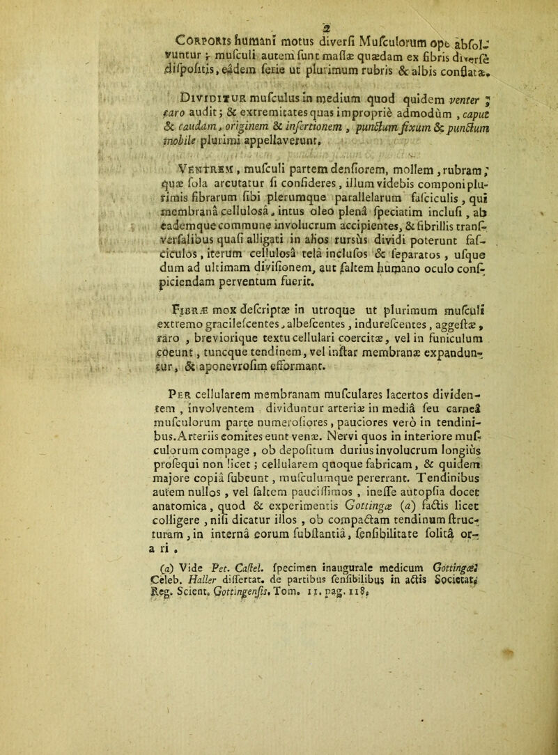 Corporis humani motus diverfi Mufculorum ope abfoIJ yuntur ;■ mufculi auteirifunc maflae quasdam ex fibris dit^rfe difpofius.e^deni ferie ut plurimum rubris & albis confiat*. Dividi»UR mufculus In medium quod quidem venter caro audit; & extremitates quas im 3c Caudam j originem & infertionem , plurimi appellaverunt, . .. ( . VENtRBM , mufculi partem denfiorem, mollem, rubram ; quas fola arcutatur fi confideres, illumvidebis componiplu- rimis fibrarum fibi plerumque parallelarum' falciculis , qui membrana cellulosa, intus oleo plend Ipeciatim inclufi , ab \ cademque commune involucrum accipientes, & fibrillis tranf» verfalibus quafi alligati in aKos rursfis dividi poterunt faf- cioilos, iterum cellulos'1 tela inclufos & feparatos, ufque dum ad ultimam diyifionem, aut jfaltem humano oculo cont piciendam perventum fuerit. Fibr.e mox defcrlptae in utroque ut plurimum mufculi extremo gracilefcentes, albefcentes, indurefcentes, aggefiae, raro , breviorique textu cellulari coercitas, vel in funiculum .coeunt, tuncque tendinem, vel inftar membranas expandun- tur, & aponevrofim efformant. Per cellularem membranam mufculares lacertos dividen- tem , involventem dividuntur arterias in media feu carneS mufculorum parte numeroliores, pauciores vero in tendini- bus. Arteriis comites eunt venae. Nervi quos in interiore mufr culorum compage , ob depolitum durius involucrum longius prolequi non licet j cellularem quoque fabricam, & quidem majore copia fubeunt, mufculumque pererrant. Tendinibus autem nullos , vel falcem paucilfiraos , inelTe autopfia docet anatomica, quod &: experimentis Gottingcs (a) fadis licet colligere , nili dicatur illos , ob co.mpadam tendinum ftruc- turam , in interna eorum fubflantia, Cenfibilitate folita or- a ri . (a) Vide Pet. CafieL fpecimen inaugurale medicum Gottingcel Celeb. Haller differtat, de partibus fenfibilibus in a^Us Socictaty Reg, Scient, Qottlngenjls, Tom, i i. pag. ii8» jropne admodum , caput punMum jixum & punSlurri i >JI