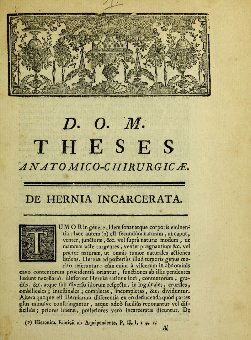 D. 0. M. THESES JNATOMICO-CHIRURGICjE. DE HERNIA INCARCERATA. UM O Rin genere,idem fonatatque corporis eminen- tia : hsec autem {a) eft fecundum naturam , ut caput, venter, junfturae, &c. vel fupra naturas modum , ut mammae ladle turgentes , venter praegnantium &c. vel praeter naturam, ut omnis tumor naturales actiones laedens. Herniae adpofterius illud tumoris genus me- riti referuntur ; cum enim a vifcerum in abdominis cavo contentorum procidentia oriantur, fundliones ab illis pendentes laedunt neceffario. Ditferunt Herniae ratione loci, contentorum , gra- dus, &c. atque fub diverfo illorum refpeilu, in inguinales, crurales, ombilicales ; intellinales ; completas, incompletas, &c. dividuntur. 'Altera quoque eft Herniarum differentia ex eo deducenda quod partes plus minufve conftringantur , atque adeo facilius reponantur vel dif- ficilius; priores liberae, pofteriores ver6 incarceratae dicuntur. De (v) Hieconim. Fabricii ab Aquapendente* P, U* 1. x C* U M