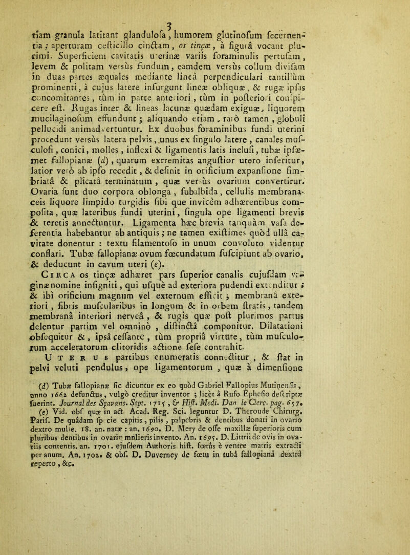 Tiain granula latitant glandulofa, humorem glutinofum fecernen- tia; aperturam cefticillo cindlam, os tincx, a figura vocant plu- rimi. Superficiem cavitatis u erinae variis foraminulis pertufam , levem & politam versus fundum, eamdem versus collum divifam in duas partes aequales mediante linea perpendiculari tantillum prominenti, a cujus latere infurgunt lineae obliquae, & rugx ipfas concomitantes, tiim in parte anteiiori , tum in pofterioii confpi- cere eH. Bugas inter & lineas lacuns quaedam exiguae^ liquorem mucilaginofum effundunt; aliquando etiam , raio tamen , globuli pellucidi animadvertuntur. Lx duobus foraminibus fundi uterini procedunt versus latera pelvis ,.unus ex fingulo latere , canales muf- culofi , conici, molles, inflexi & ligamentis latis inclufi, tubae ipfae- met failoplanae (d) , quarum exrremitas anguflior utero inferitur, latior vero ab ipfo recedit, & definit in orificium expanfione fim- briata & plicata terminatum , quae ver us ovarium convercirur. Ovaria funt duo corpora oblonga , fubalbida, cellulis membrana^ ceis liquore limpido turgidis fibi que invicem adherentibus com- pofita, que lateribus fundi uterini, fingula ope ligamenti brevis Sc teretis annedluntur. Ligamenta hec brevia tanquam vafa de- ferentia habebantur ab antiquis; ne tamen exiftimes quod ulla ca- vitate donentur ; textu filamentofo in unum convoluto videntur conflari. Tube fallopiane ovum foecundatum fufcipiunt ab ovario, & deducunt in cavum uteri (e). Circa os tinge adheret pars fuperior canalis cujufdam vri: ginenomine infigniti, qui ufque ad exteriora pudendi extenditur ; & ibi orificium magnum vel externum efficit i membrana exte- riori , fibris mufcularibus in longum & in orbem (Iratis , tandem membrana interiori nervea , Sc rugis que poft plurimos partus delentur partim vel omnino , diftinfta componitur. Dilatationi obfequitur & , ipsa ceffante , tum propria virtute, tum mufculo-: rum acceleratorum clitoridis adlione fefe contrahit. Uter u s partibus enumeratis conneditur^, & flat In pelvi veluti pendulus, ope ligamentorum , que a dimenfione (d) Tubse fallopians fic dicuntur ex eo quod Gabriel Fallopius MutineiifTs, anno defunftus , vulgo creditur inventor ; licet a Rufo Ephefio defcrlpte fuerint. Journal des S^avans. Sept. 1715 , &* Hift. Medi. Dan le Clere, pag. (e) Vid. obf qujE in aft. Acad. Reg. Sci. leguntur D. Theroude Chirurg, Parif. De quadam fp cie capitis , pilis, palpebris & dentibus donati in ovario dextro mulie, 18. an. nats ; an. i6^o. D. Mery de olTe maxilla* fuperioris cum pluribus dentibus in ovario mnlieris invento. An. 16515. D.Littriide ovis in ova- riis contentis, an. 1701. ejufHem Authoris hift. foetfls e ventre matris extradi per anum. An. 1701» & obf. D, Duverney de foetu in tuba fallopiana dextri reperto, &c.