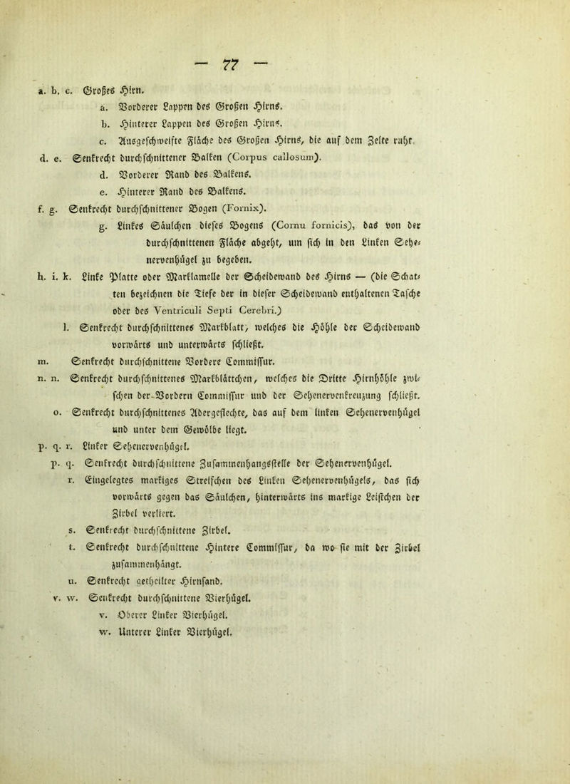 a. h. c. ©ro§eg ^!rn. a. 33ort>erer Capp?ti 5eö ®ro0m ^Irnö. b. Jj>interev Wappen bcö ©ro^en ^icn«. c. ^tußgefc^iüelfte gldd)? beö ©rofien ble auf bem d. e. 0enfrecf)t bui'cl;fd)nittenec 2!)ol!en (Corpus callosum). d. 93orberer Staub beß 23alfeuß. e. .^tmeret Staub beß ©a(feuß, f. g. ©eufrec^t burd^fc^uitteuer SBogeu (Fornix). g. £iufeß 0du(c^en biefsß Söogeuß (Cornu fomids), baß öou bec burd;fc^nitteuen gldc^e um ftc^ tu ben üiufeu 0e^?« nerventjöget ju begebeu. h. i. k. Stufe “Platte ober SJtarflamede ber ©cbeibetuaub beß ^truß — (bie 0d)at< teil bejeid)uett bfe '?;tefe ber in biefer ©djeibeioanb eutf^alteuen ^afd)e ober beß Ventrlculi Septi CerebriJ I. 0enfrecbt burcbff^t'itf^ti^^ SJtarfblatt/ melc^eß bie ^6^(e ber ©c^cibemaub ooriüdrtß uub uutermartß fc^liept. m, 0eufred)t burd;fcbnitfeue Sßorbere Commiffur. n. n. 0enfred)t burd)fcbnitteueß S3?arfb(Sttd)eU/ mefc^eß bie Sritte ^iruf)5[)(e imU fdjen ber-S8orbmi dommiiTur uub ber 0cl)eueroenfreuäuu9 fd)lie^t, o. 0eufrecbt burd)fd)ultteueß ^Ibergcjlecbte, baß auf bem Hufen 0e[;euer»eul;i5gel ^ uub unter bem ©emblbe liegt, p. q. r. Siufer 0e{;euetoenl)i5gtl. p. q. 0eufred)t bui'd)fcbuitteue 3ufamtneuf;augß(tefle ber ©ebeneroeu^ügel. r. t£iugeiegteß mnrfigeß ©treifd)eu beß Siufeu 0e()eneroeul)i5gelß, baß ficb »ormdrtß gegen baß ©dutcbeu/ itt^ matfige Seiftc^eu ber 3lrbel verliert. s. ©euficcbt burd;l'cbnittene glrbel. t. ©eufrec^t burd)rd;uitteue .^intere CommifTur, ba roo fie mit ber 5ufauimenl)dngt. u. ©enfrcd)t aet()ci(ter .^irufanb. Y. w. ©eiifred)t burd)fd)uittene 58ierl;i5gel. V. Oberer Siufer 33ierl)uge(. w. Unterer Sinfer 23ier^uge(,