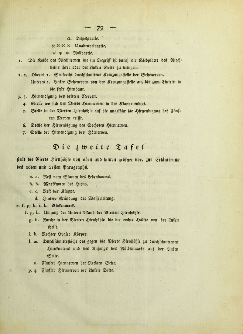 n, ^ripefpartfe. X X X X Clua^rupc(pflrtle, ^ * SloHpartle. I. S)le ^o(6c Peö 3liecf}neroen bic Im Ifi Surcf) &le ©ie&p(atte 3iie4< belnß ibret ober ber £infen 0eite ju bringen. 3, 2. Oberem 2, 0enfrecbt burcbfc^nlttene ^reujungöflelle ber 0ef>enetoen. Unteres 2. fiinfer 0ef)eneroen oon bet ^reujungsfiefle an, blö jutn (Eintritt In bie fefle .^irnbaut. 3. 3. .^(rnenbtgung beS britten 37eroen. 4. ©teile wo ftcb ber SQIertc .^irnneruen in ber .tloppe enbigt. f. ©teile in ber 93iertcn .^irnb6t)le «uf bie ungefdl)c bie .^Irnenbigung bfS ^nnf< ten Sperren trifft. 6. ©teile ber .^irnenbigung bes ©ecbsten .^irnneroen, 7. ©teile ber .^irnenbignng bes Jj»6rner»en, ©iesmeiteXafel fleßt bie 23terfe poh oben unb hinten gebfnet pop/ iur (IrlSutfrwng bfö löten u«b aijfcn fparngrnpbö. a. a. Slefl »om ©tamm beö SebenbemmP. b. b. 93?arffnoten bes .^irnS, c. c. 9?e|t ber klappe. d. Jpinfere ®unbung ber SBofferleitung. e. f. g. b. i. k. SHöefenmarf. f, g. b. Umfang ber Untern SSanb ber SSierten .^irnböble. g. h. gur^e in ber SBierten ..^irnt)6bl«’ bie bie rechte .^blfte von ber linfen tl;eift. i, k. Sieebter Ovaler Körper. 1. m. Surcbfcbnittsflacbe bes gegen bie SSierte .^irnboble ju burcbfd)nittenen J^irnfnotenö unb bes 2fnfangS bes Siuefenmarfs auf ber CInfen ©eite. o. ^önfter v^irnnerven ber 3led)ten ©eite, p. q. giinfter .^irnnerven ber Sinfen ©eite.