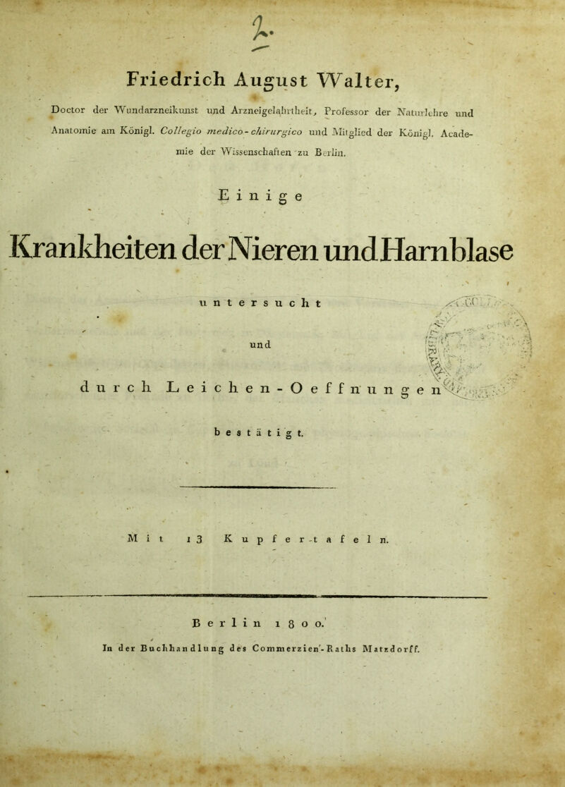 Friedrich August Walter, « Doctor der Wundarzneikmist und Arzneigelahrtheit^ Professor der Naturlehre imd Anatomie am Königl. CoUegio meclico- chirurgico und Miiglied der König!. Acade- mie der Wissenschaften zu Berlin, Einige Kranldieiten der Nieren undHamblase untersucht und durch Leichen-Oeffn i!7Di f ■ - u n g e • bestätigt. Mit x3 Kupfer-tafeln. Berlin 1800.' * In der Buchhandlung des Commerzien'-Raths Matzdorff.