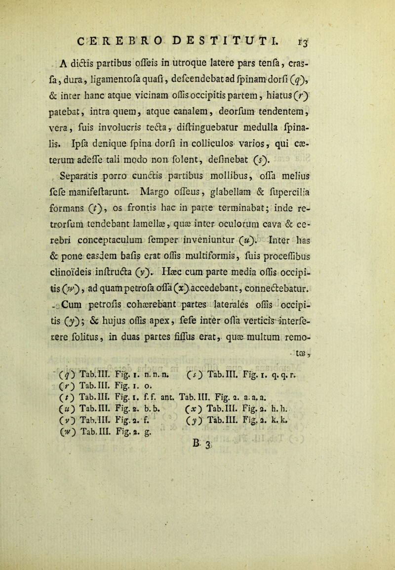 A dictis partibus offeis in utroque latere pars tenfa, cras- fa,dura, ligamentofaquafi, defcendebatadfpinamdorfi & inter hanc atque vicinam offis occipitis partem, hiatus (V) patebat, intra quem, atque canalem, deorfum tendentem, vera, fuis involucris te&a, diftinguebatur medulla fpina- lis. Ipfa denique fpina dorll in colliculos varios, qui cae- terum adelTe tali modo non folent, definebat (V). Separatis porro cunctis partibus mollibus, ofla melius fcfe manifeftarunt. Margo ofTeus, glabellam & fupercilia formans (V), os frontis hac in parte terminabat; inde re- trorfum tendebant lamellae, quse inter oculorum cava & ce- rebri conceptaculum femper inveniuntur (zF). Inter has & pone easdem bafis erat offis multiformis, fuis proceffibus clinoideis inftrudta (V).. Haec cum parte media offis occipi- tis (V), ad quampetrofa offa(Y) accedebant, conne&ebatur. - Cum petrofis cohaerebant partes laterales offis occipi- tis OO; & hujus offis apex, fefe inter ofla verticiWnterfe- rere folitus, in duas partes fiflus erat, quse. multum remo- ta, . * r . • T , ' --k, r r (#) Tab.III. Fig. 1. n. n.n. (s } Tab.III. Fig. 1. q. q. r. (r) Tab.III. Fig. 1. o. (/) Tab.III. Fig. 1. f.f. ant. Tab.III. Fig. 2. a.a.a. (zz) Tab.III. Fig. 2. b.b. Tab.III. Fig. a. h. h. (y} Tab.III. Fig. 2. f. (y) Tab.III. Fig. 2. k. k. (w) Tab.III. Fig. 2. g. B 3
