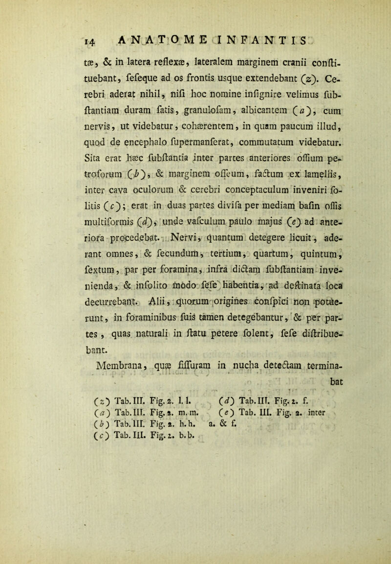 tte, & in latera reflexoe, lateralem marginem cranii confti- tuebant, fefeque ad os frontis usque extendebant (2). Ce- rebri aderat nihil, nifi hoc nomine infignire velimus fub- flantiam duram fatis, granulofam, albicantem (a), cum nervis, ut videbatur, cohaerentem, in quam paucum illud, quod de encephalo fupermanferat, commutatum videbatur. Sita erat haec fubftantia inter partes anteriores olfium pe- troforum (iO> & marginem offeum, faftum ex lamellis, inter cava oculorum & cerebri conceptaculum inveniri fo- litis (c); erat in duas partes divifa per mediam bafin olfis multiformis (d), unde vafculum paulo majus (V) ad ante- riora procedebat. Nervi, quantum detegere licuit, ade- rant omnes, & fecundum, tertium, quartum, quintum, fextum, par per foramina, infra dictam fubltantiam inve- nienda, & infolito inodo fefe habentia, ad deftinaea loca decurrebant. Alii, quoxum origines confpici non potue- runt, in foraminibus fuis tamen detegebantur, & per par- tes , quas naturali in flatu petere folent, fefe dillribue- bant. Membrana, qu® filTuram in nucha detedlam termina- , bat r-m • ^ . ' y (z) Tab.IIL Fig.z. 1.1. (d) Tab.IIT. Fig.i. f. (a) Tab.III. Fig. 2. m.m. (<?) Tab. III. Fig. 2. inter (b) Tab.III. Fig. 2. h.h. a. & f. (<?) Tab.III. Fig. 1. b.b.