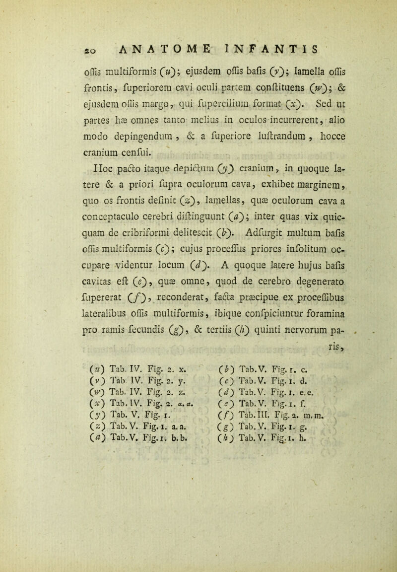offis multiformis (u~); ejusdem offis bafis (V); lamella offis frontis, fuperiorem cavi oculi partem conftituens (w'); & ejusdem offis margo, qui fupercilium format Qx'). Sed ut partes hae omnes tanto melius in oculos incurrerent, alio modo depingendum , & a fuperiore lultrandum , hocce cranium cenfui. Iioc pacto itaque depidtum Qy') cranium, in quoque la- tere & a priori fupra oculorum cava, exhibet marginem, quo os frontis definit (s), lamellas, qua oculorum cava a conceptaculo cerebri diftinguunt (V); inter quas vix quic- quam de cribriformi delitescit (¥). Adfurgit multum bafis offis multiformis (Y); cujus procefilis priores infolitum oc- cupare videntur locum Qd'). A quoque latere hujus bafis cavitas eft Qe), quae omne, quod de cerebro degenerato fupererat (/}, reconderat, fadta praecipue ex proceffibus lateralibus offis multiformis, ibique confpiciuntur foramina pro ramis fecundis (g), & tertiis (7f) quinti nervorum pa- ris. («) Tab. IV. Fig. 2. x. (y) Tab IV. Fig. 2. y. (jy} Tab. IV. Fig. 2. z. (a;) Tab. IV. Fig. 2. u.a. (y) Tab. V. Fig. 1. (z) Tab.V. Fig. 1. a.a. (£) Tab.V. Fig. r. c. (c) Tab.V. Fig. 1. d. (d) Tab.V. Fig. 1. e.e. Tab. V. Fig. 1. f. (f) Tab. III. Fig. a. ra.m. (g) Tab.V. Fig. 1. g.