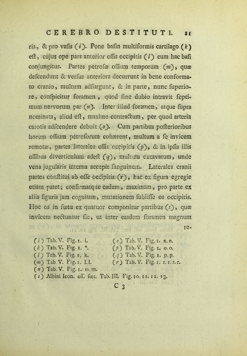 ris, &pro vafis (Q. Pone bafin multiformis cartilago (k) eft, cujus ope pars anterior offis occipitis cum hacbafi conjungitur. Partes petroffe offium temporum (V), quae defcendunt & verfus anteriora decurrunt in bene conforma- to cranio, multum adfurgunt, & in parte, nunc fuperio- re, confpicitur foramen , quod fine dubio intravit fepti- mum nervorum par (V). Inter illud foramen, atque fupra nominata, aliud eft, maxime contra&um, per quod arteria carotis adfcendere debuit (V)- Cum partibus pofterioribus horum offium petroforum cohsrent, multum a fe invicem remotae, partes laterales offis occipitis (p), & in ipfis illis offibus diverticulum adeft (q), multum excavatum, unde vena jugularis interna accepit fanguinem. Laterales cranii partes conftitui ab offe occipitis (Vjj, hac ex figura egregie etiam patet; confirmatque eadem, maximam, pro parte ex aliis figuris jam cognitam, mutationem fubiifle os occipitis. Hoc os in fcetu ex quatuor componitur partibus (V), qute invicem ne&untur fic, ut inter easdem foramen magnum (i) Tab. V. Fig. i. i. (£) Tab. V. Fig- i. *. (/ ) Tab. V. Fig. i. k. (m) Tab.V. Fig.i, 1.1. (n) Tab.V. Fig.i. m.m. (s) Albini Icon. off. fcec. T re (o) Tab.V. Fig.i. n.n. (p) Tab.V. Fig. i. o.o. (q) Tab.V. Fig. i. p. p. (r) Tab.V. Fig.i. r. r. r. r. III. Fig, io. 11. 12. 13. c 3 /