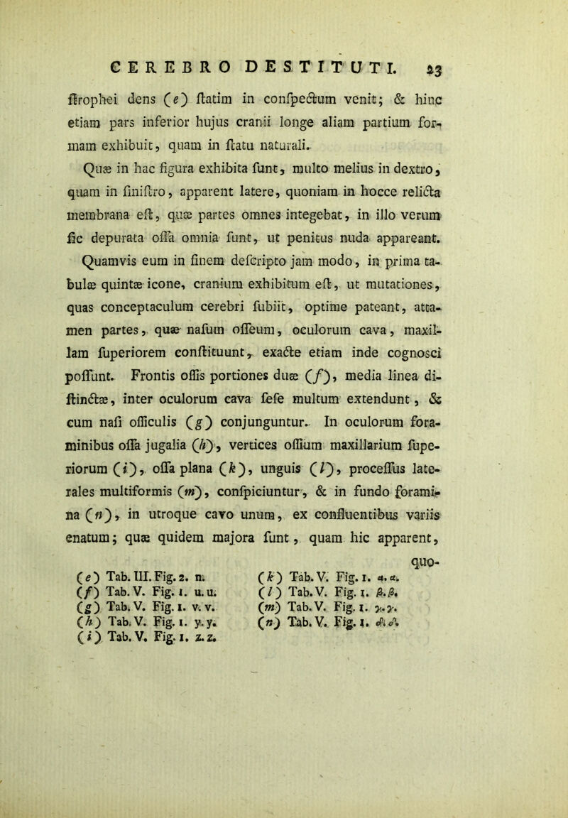 firophei dens (e) ftatim in confpe&um venit; & hinc etiam pars inferior hujus cranii longe aliam partium for- mam exhibuit, quam in flatu naturali., Qute in hac figura exhibita funt, multo melius in dextro, quam in finiilro, apparent latere, quoniam in hocce relicla membrana eft, quce partes omnes integebat, in illo verum fic depurata offa omnia funt, ut penitus nuda appareant. Quamvis eum in finem defcripto jam modo, in prima ta- bulae quintae icone, cranium exhibitum eft, ut mutationes, quas conceptaculum cerebri fubiit, optime pateant, atta- men partes, quae nafum oflfeum, oculorum cava, maxil- lam fuperiorem conftituunt, exadte etiam inde cognosci poflunt. Frontis offis portiones duse (/), media linea di- ftindlse, inter oculorum cava fefe multum extendunt, & cum nafi officulis Qg) conjunguntur.. In oculorum fora- minibus offa jugalia (Zf), vertices offlmra maxillarium fupe- riorum (i), offa plana (&), unguis (/), proceffus late- rales multiformis (m), confpiciuntur, & in fundo forami- na («), in utroque cavo unum, ex confluentibus variis enatum; quae quidem majora funt, quam hic apparent, ( e ) Tab. IIP. Fig. 2. n. (/) Tab. V. Fig. 1. u.u. (g) Tab. V. Fig. I. v. v. (i) Tab.V. Fig. 1. z.z. (k) Tab.V. Fig. I. a. a. (l) Tab.V. Fig. i. j8.,S, (m) Tab.V. Fig. 1. y.y.