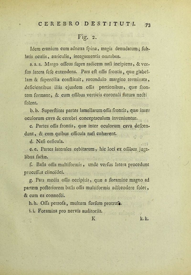 ( Fig. 2. Idem cranium cum adnexa fpina, magis denudatum; fub- latis oculis, auriculis, integumentis omnibus. a. a. a. Margo ofleus fupra radicem nafi incipiens, &ver- fus latera fefe extendens. Pars eft offis frontis, quos glabel- lam & fupercilia conftituit, rotundulo margine terminata, deficientibus illis ejusdem offis portionibus, quse fron- tem formant, & cum offibus verticis coronali lutura nedti folent. b. b. Superflites partes lamellarum offis frontis, qute inter oculorum cava & cerebri conceptaculum inveniuntur. c. Partes offis frontis, qute inter oculorum cava defcen- dunt, & cum quibus officula nafi cohaerent. d. Nafi osficula. * J e. e. Partes laterales orbitarum, hic loci ex ofiibus juga- libus fada3. f. Bafis offis multiformis, unde verfus latera procedunt procefius clinoidei. g. Pars media offis occipitis, qute a foramine magno ad partem pofteriorem bafis offis multiformis adfcendere folet, & cum ea connecti. h. h. Olfapetrofa, multum furfum protrufg. i. i. Foramina pro nervis auditoriis. K - k. k.