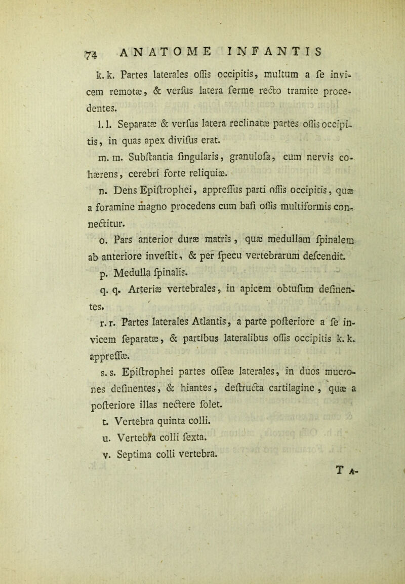 k. k. Partes laterales offis occipitis, multum a fe invi- cem remotse, & verfus latera ferme redo tramite proce- dentes. l. 1. Separatas & verfus latera reclinatas partes offis occipi, tis, in quas apex divifus erat. m. ra. Subffiantia fingularis, granulofa, cum nervis co- haerens , cerebri forte reliquias. n. Dens Epiflrophei, appreffus parti offis occipitis, quae a foramine magno procedens cum bafi offis multiformis coik neditur. o. Pars anterior duras matris, quas medullam fpinalem ab anteriore inveftit, & per fpecu vertebrarum deicenait. p. Medulla fpinalis. q. q. Arterias vertebrales, in apicem obtufum delinen- tes. r. r. Partes laterales Atlantis, a parte polleriore a fe in- vicem feparatas, & partibus lateralibus offis occipitis k. k. appreflae. s. s. Epiflrophei partes olfeas laterales, in duos mucro- nes definentes, & hiantes, dellruda cartilagine , quas a polleriore illas nedere folet. t. Vertebra quinta colli. u. Vertebfa colli fexta, v. Septima colli vertebra. T A-