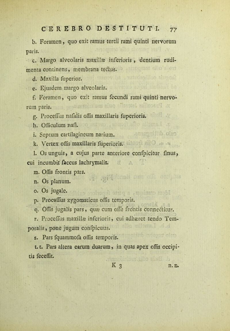 b. Foramen, quo exit ramus tertii rami quinti nervorum paris. c. Margo alveolaris maxillse inferioris , dentium rudi- menta continens, membrana tedhis. d. Maxilla fuperior. e. Ejusdem margo alveolaris. f. Foramen, quo exit ramus fecundi rami quinti nervo- rum paris. g. Proceflus nafalis olfis maxillaris fuperioris. h. Olficulum nafi. i. Septum cartilagineum narium. k. Vertex offis maxillaris fuperioris. l. Os unguis, a cujus parte anteriore confpicitur finus, cui incumbit faccus lachrymalis. m. Offis frontis pars. n. Os planum. o. Os jugale. p. Procelfus zygomaticus offis temporis. q. Offis jugalis pars, quae cum olfe frontis connedfitur, r. Procelfus maxillae inferioris, cui adhaeret tendo Tem- poralis, pone jugum confpicuus. s. Pars fquammofa offis temporis. 1.1. Pars altera earum duarum, in quas apex offis occipi- tis feceffit.