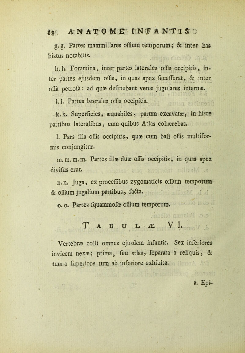g. g. Partes mammillares offium temporum; & inter has hiatus notabilis. h. h. Foramina, inter partes laterales offis occipitis, in- ter partes ejusdem offis, in quas apex fecefferat, & inter offa petrofa: ad quas delinebant venas jugulares internas. i. i. Partes laterales offis occipitis. k. k. Superficies, aequabiles, parum excavatae, in hisce partibus lateralibus, cum quibus Atlas cohaerebat. l. Pars illa offis occipitis, quae cum bafi offis multifor- mis conjungitur. m. m. m. m. Partes illae duae offis occipitis, in quas apex divifus erat. n. n. Juga, ex proceffibus zygomaticis offium temporum & offium jugalium partibus, fadla. o. o. Partes fquammofae offium temporum. Taeulal V L Vertebrae colli omnes ejusdem infantis. Sex inferiores invicem nexse; prima, feu atlasfeparata a reliquis, & tum a fuperiore tum ab inferiore exhibita. a. Epi-