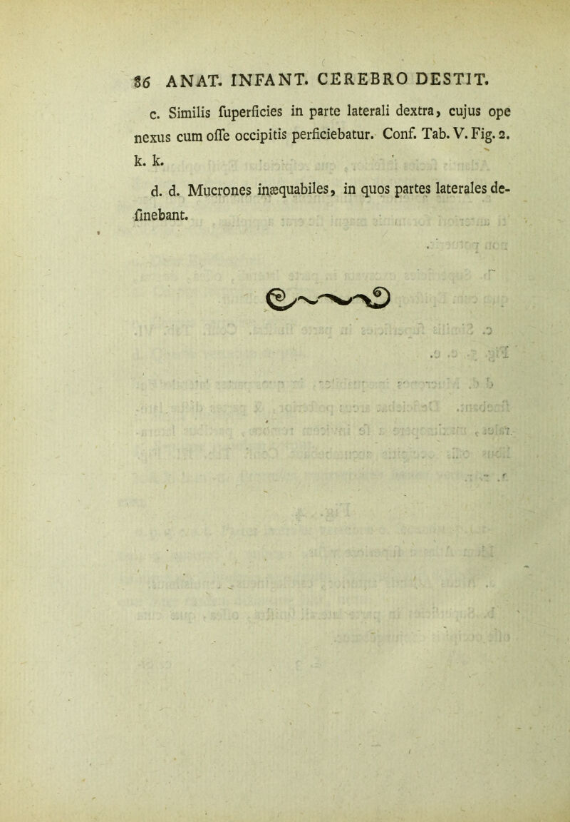 c. Similis fuperficies in parte laterali dextra, cujus ope nexus cum ofle occipitis perficiebatur. Conf. Tab. V. Fig. 2. k. k. d. d. Mucrones inaequabiles, in quos partes laterales de- fmebant.