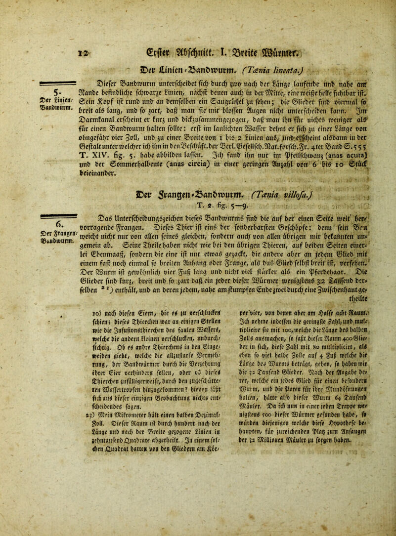iDer /Linien=23«nt>n?utm (Tania lineatn.J ■ ■—1 Siefer 3$cmt>n>imn unferfd)ci&ce ftef) buedntvo twd) bcc Sange taufenbe unb tta^c attr 5‘ Staube hefttibltd;e fchroarje Stuten, itad;ft betten and; in bet Sftittc, chteroctgehelle ftdj'tbar i|fl JDee Sittien? @ctn 5topf iff ruttb unb an bemfelten ein ©augtufel ju fetjett; bic ©liebet ftttb tterntal fo Banbwurnt.. {,cej( ö{g (attg, unb fo jart, ba§ man fie mit Hoffen Singen nicht untecfd;etben fatttt. 3m Satmfanal etfeheint et furj unb bfcfyitfammchgejogett, baf matt ihn für ntd;ts roeitigct als - für einen Sknbnmrm halfen follfe: er ft im lau lichten SBaffet behüt et ftd; ju einet Sange non obngefdhr oiet 3HI, unb ju einet Breite ton i HS 2 Sinien auS, .ttttb etßheint alSbautt iu bet ©eftalt unter welcher id; il)tt in bcu55cfd;dff.ber 35ctl.©efel(fd;.3taf.fotfd;.5t. 4tct 33attb 0.5 5 5 T. XIV. fig. 5. habe abbilbett laffett. 3ch fattb ihn nur im fpfeilfd;u>att$ (anas acuta) unb bet 0ommerhalbeute (anas circia) in einet getingen 3lnjaht oon 6 bis 10 0tucf Jteieittanbet. SDcr Sangen'SaR&tvutm. (Tania villofa.) T. 4. fig. 5—9. 6. ©er Stangen? Battbivumt. Saö UnterfäjeibungSjeichen biefeS SSaubwutmS ftnb bie auf bet einen 0eife tne.it’ f>er* norragenbe grätigen. Siefc^ £hier iff eins bet fonbetbatffett ©efd)opfe: bentt fein 33au meid;t nicht nur oon allen feines gleid;cn, fonbern and) non allen übrigen mir befatWen un? gemein ab. ©eine Sheile haben nicht wie bei beit übrigen Jhiereu, auf beibett 0eifen einet? lei ©bctimaaß, fottbetn bie eine iff nur etwas gemacht, bie attbete aber au feiern ©lieb mit einem fajt noch einmal fo breiten Sltthang ober prange, als ba§ ©lieb felbfi breit iff, oetfehen,' Set 2Burm ift getoolntlid; oiet guf lang unb nicht oiel ffdefer alo ein Ißfctbchaar. Sie ©liebet fmb tavf, breit unb fo $art ba§ ein jebet biefet Wurmet wenigffenö 32 Saufenb bet? felben 2 lJ enthalt, unb an beten jebent, nahe am fiumpfen t£nbe jwei butd; eitte 3wifd;enhautge? tfjieiltc 10) ttad) biefett £ient, bie e£ $u oerfchlucFen' fdfien; btefeö £hierchen roar an einigen ©teilen wie bie Stffufwndthterdjen betf faulen SÖitfferS, »eiche bie anberit Keinen »evfchlucfen, unburch? fichtig. Ob e$ anbre Sbiercheng in ben Singe? »eiben giebt, »eiche bie alliuftarfe Bermeb? tnng, ber Baitbwürmer burch bie Belehrung' ihrer Sier »erhinbertt feilen, ober oJ btefc$ $I)ierchen ittfäUtgerreetfe, burch ben sugefdütte? fen Sßaffertropfen hinsttgefommen? hieoon Iaht fich au$ biefer eitrigen Beobachtung nichts ettt? fcheibenbeö fagen. 4;) Nein Nitrometer halt einen halben ©ejimaf? goll. ©iefer Slaunt ift burch hunbert nach ber Sange unb nach ber Breite gejogene Sinien in lehntaufettb ö.uabrgte abgethcilt. 3ft einem fol? den Öuabrat hatten »cn ben ©liebem am &6r? per'oier, oon benen «ber am #aIfe acht 3ch nehme ittbeffen bie gertngfte Sahhuttb mul? tiplicire fie mit 100, »eiche bie Sange beö halben Sollö «uPmachen, fo faßt biefer Slattm 4°°@lie' ber in ftcf>, biefe 3«hl mit 80 multtplicirt, als eben fo oiel halbe Solle auf 4 Jttft »eiche bie Sdtfge be«' aBurtitö betragt, gehen, fo haben »ir bie ?2 £atifenb ©lieber. 9lach ber :3tngabe be# rer, »eiche ein jebe$ ©lieb ftir einen befonbern ©tttm, unb bie Sporen für ihre Nunbofitungen hallen, hatte alfo biefer S&urttt 64 Staufenb Nduler. ©a ich mm iu einer jeben £rappe »e< ntgfteitö roo biefer SBurmer gefuuben habe, fo würben btejeitigen »eiche biefe ^ppothefe be? haupten, für jureichenben ipiah «um Stnfaugen ber Nilltonen Näuler ju forgen haben.