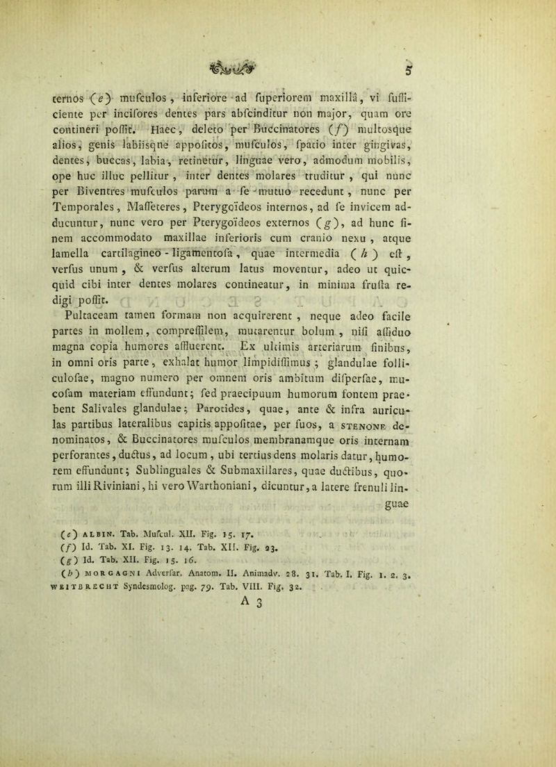 ternos ■((?) mufeulos, inferiore-ad fuperiorem maxilla, vi fuffi- cieme per incifores dentes pars abfcindicur non major, quam ore contineri poffit. Haec, dcleto^ per Buccinutores (/} multosciue alios, genis labiisqne' appofitos, mufculos, fpatio inter gingivas, dentes, buccas, labia, retinetur, linguae vero, admodum mobilis, ope huc illuc pellitur , inter dentes molares truditur , qui nunc per Biventres mufculos paru-m a--fe-'mutuo recedunt , nunc per Temporales, MalTeteres, Pterygoideos internos, ad fe invicem ad- ducuntur, nunc vero per Pterygoideos externos (g), ad hunc fi- nem accommodato maxillae inferioris cum cranio nexu , atque lamella cartilagineo - ligamentofa , quae intermedia ( } efi: , verfus unum, & verfiis alterum latus moventur, adeo ut quic- quid cibi inter dentes molares contineatur, in minima frufia re- digi poffit. VJ. Pultaceam tamen formam non acquirerent , neque adeo facile partes in mollem, compreffilem, mutarentur bolum , nili affiduo magna copia humores affluerent.^ Ex ultimis arteriarum ^finibus, in omni oris parte, exhalat humor limpidiffimus ; glandulae folli- culofae, magno numero per omnenl oris ambitum difperfae, mu- cofam materiam effundunt; fed praecipuum humorum fontem prae- bent Salivales glandulae; Parotides, quae, ante & infra auricu- las partibus lateralibus capitis appofitae, per fuos, a stenone de- nominatos, & Buccinatores mufculos membranamque oris internam perforantes, dudus, ad locum, ubi tertius dens molaris datur, humo- rem effundunt; Sublinguales & Submaxillares, quae dudibus, quo- rum illiRiviniani, hi vero Warthoniani, dicuntur, a latere frenuli lin- guae («) ALBiN. Tab. Mufcul. XII. Fig. 15. 17. . '.h' (/) Id. Tab. XI. Fig. 13. 14. Tab. XII. Fig. 33. (g) Id. Tab. XII. Fig. 15. 16. (Z>) MORGAGNI Adverfar. Anatom. II. Animadv. 28. 31. Tab> I. Fig. 1. 2. 3. WEITBRECUT Sytidcsinolog. p?,g. 79. Tab. VIII, Fig. 32. A 3