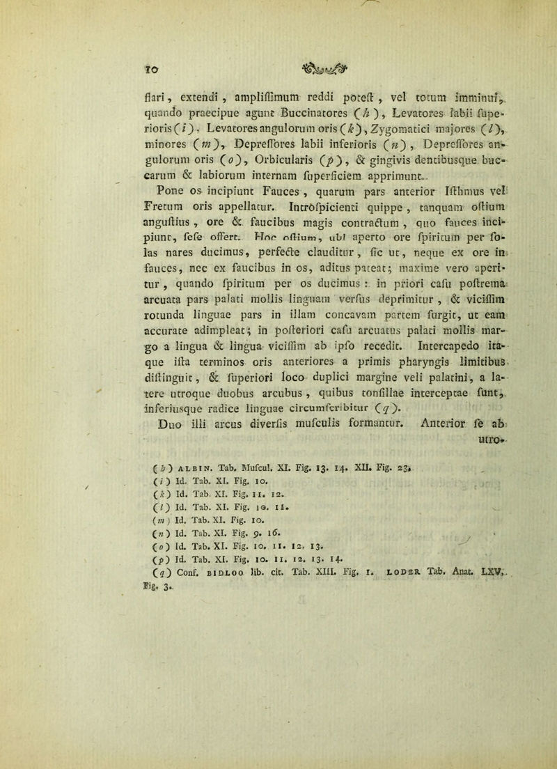 to flari, extendi , amplifljmum reddi porefl: , vel totum imminui5. quando praecipue agunt Buccinatores C'^)» Levatores labii fupe- riorisC/}, Levatores angulorum oris Zygomatici majores (/), minores DeprelTores labii inferioris DeprelTores an^» gulorum oris (<?}, Orbicularis & gingivis dentibusque buc- carum & labiorum internam fuperficiem apprimunt». Pone os incipiunt Fauces , quarum pars anterior Iffhmus vel' Fretum oris appellatur. IntrOfpicienti quippe , tanquam ofliuni anguftius , ore & faucibus magis contraftiim , quo fauces inci- piunt, fefe offert. Roc ofllum, ubi aperto ore fpiricum per fo- las nares ducimus, perfefte clauditur, fle ut, neque ex ore in fauces, nec ex faucibus in os, aditus pateat; maxime vero aperi- tur , quando fpiritum per os ducimus in priori cafu poftrema arcuata pars palati mollis linguam verfus deprimitur , & viciflim rotunda linguae pars in illam concavam partem furgit, ut eam accurate adimpleat; in pofleriori cafu arcuatus palati mollis mar- go a lingua & lingua viciflim ab ipfo recedit. Intercapedo ita- que ifla terminos oris anteriores a primis pharyngis limitibus, diflinguit, fiiperiori loco duplici margine veli palatini, a la- tere utroque duobus arcubus, quibus tonflllae interceptae funt,. inferiusque radice linguae circumfcribitur C^ )* Duo illi arcus diverfls mufculis formantur. Anterior fe ab? utro-» (/.! ) ALBIN. Tab. Mufeu!, XI. Fig. 13. 14. XII. Fig. 23» (i) Id. Tab. XI. Fig. 10. (AO Id. Tab XI. Fig. ll. 12. (O W. Tab. XI. Fig. i9. IJI. (?«) Id. Tab. XI. Fig. lo. («) Id. Tab. XI. Fig. 9. l5. (p) Id. Tab. XI. Fig. lo. il. I2, 13. (f>) Id. Tab. XI. Fig. lO. II. 12. 13* 14« (<7) Conf. BlDLoo lib. cit. Tab. XIII. Fig, i, lodsr. Tab. Anat. LXV,- Fig* 3*^