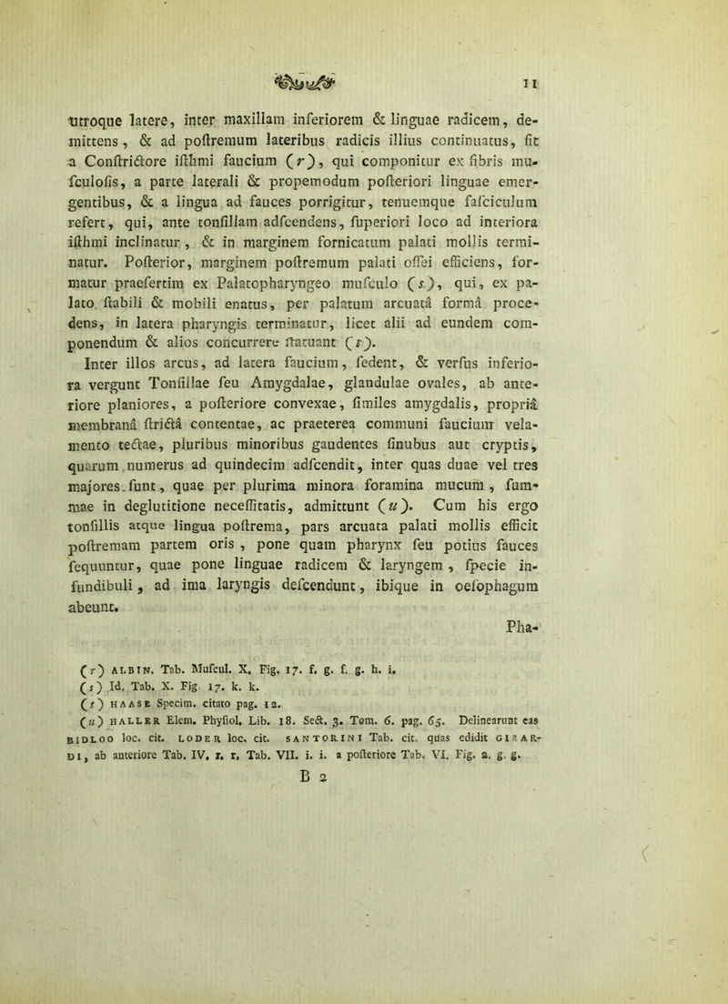 n utroque latere, inter maxillam inferiorem & linguae radicem, de- mittens, & ad poftremum lateribus radicis illius continuatus, fit n Confl:ri(5i:ore iilhmi faucium (r}, qui componitur ex fibris mu- fculofis, a parte laterali & propemodum pofleriori linguae emer- gentibus, & a lingua ad fauces porrigitur, tenuemque fafciculum refert, qui, ante tonfillam adfcendens, fuperiori loco ad interiora ifthmi inclinatur , & in marginem, fornicatum palati mollis termi- natur. Pofterior, marginem poftremum palati offei efficiens, for- matur praefertim ex Palatopharyngeo mufculo P^ lato frabiii & mobili enatus, per palatum arcuata forma proce- dens, in latera pharyngis terminatur, licet alii ad eundem com- ponendum & alios concurrere itatuant Inter illos arcus, ad latera faucium, fedent, & verfus inferio- ra vergunt Tonfiilae feu Amygdalae, glandulae ovales, ab ante- riore planiores, a poffieriore convexae, fimiles amygdalis, propria membrana ftridla contentae, ac praeterea communi faucium vela- mento teflae, pluribus minoribus gaudentes finubus aut cryptis, quarum numerus ad quindecim adfcendit, inter quas duae vel tres majores.funt, quae per plurima minora foramina mucum, fum- mae in deglutitione neceffitatis, admittunt (u). Cum his ergo tonfillis atque lingua poftrema, pars arcuata palati mollis efficit poftreraam partem oris , pone quam pharynx feu potius fauces fequuntur, quae pone linguae radicem & laryngem , fpecie in- fundibuli , ad ima laryngis defcendunt, ibique in oefbphagura abeunt. Pha- (r) ALBIN. Tab. Mufciil. X. Fig. 17. f. g. f, g. h. i, (j) Id, Tab. X. Fig i/, k. k. f#) HAASE Specini. citato pag. 12. («) HALLER Elem. Phyfiol, Lib. 18. Seft. 3. Tom. 6. pag. 65. Delinearunt eas bidloo loc. cit. LODER loc. cit. sANTORiNi Tab. cit. quas edidit ci R ar- di , ab anteriore Tab. IV, r. r, Tab. VII. i. i. a pofteriore Tab. VI. Fig. 2. g, g. B 2 (