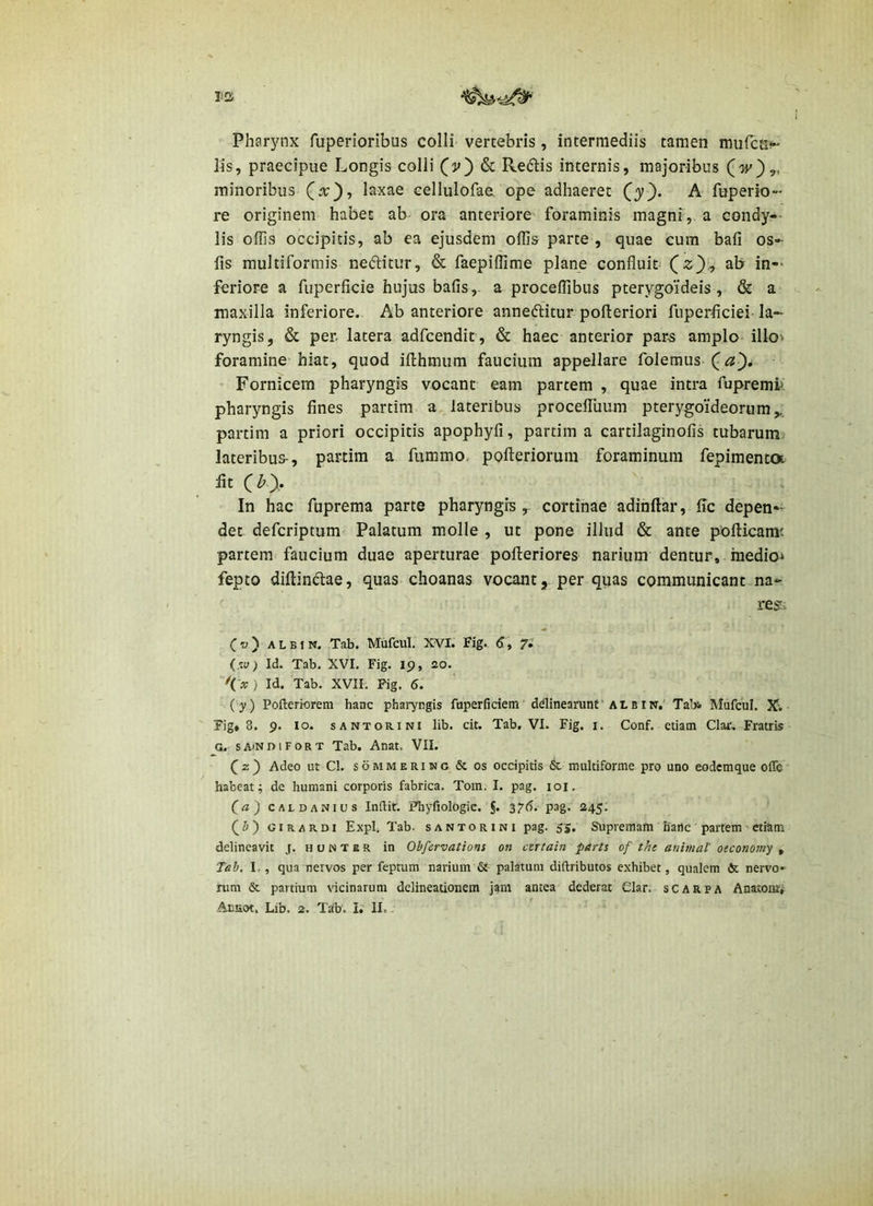 Pharynx fuperioribus colli vertebris, intermediis tamen mufcn* lis, praecipue Longis colli (v) &. Redis internis, majoribus minoribus (x), laxae eellulofae ope adhaeret (y). A fuperk)- re originem habet ab ora anteriore foraminis magni, a condy-- iis offis occipitis, ab ea ejusdem offis parte , quae cum bafi os- fis multiformis neditur, & faepiffime plane confluit ab in-- feriore a fuperficie hujus bafis, a proceffibus pterygoideis , & a maxilla inferiore. Ab anteriore anneditur pofteriori fuperficiei la- ryngis, & per. latera adfcendit , & haec anterior pars amplo illo> foramine- hiat, quod illhmum faucium appellare foleraus Fornicem pharyngis vocant eam partem , quae intra fupremf pharyngis fines partim a. lateribus procelTuum pterygoideorum,,, partim a priori occipitis apophyfi, partim a cartilaginofis tubarum^ lateribus-, partim a fummo. pofteriorum foraminum fepimenta Iit In hac fuprema parte pharyngis,- cortinae adinftar, fic depen- det defcriptum Palatum molle , ut pone illud & ante pofticam'. partem faucium duae aperturae pofteriores narium dentur, inedio^ fepto diftindae, quas choanas vocant, per quas communicant na- res. (v) ALBIN. Tab. Mufcul. XVI. Fig. 6, ?i (w; Id. Tab. XVI, Fig. 19, 20. \-x) Id. Tab. XVII. Fig. 6. (y) Pofteriorem hanc pharyngis fuperfidem ddinearunt' ALblN, Tabi Mufcul. X. Fig» 8, 9. IO. sANTORiNi lib. cit. Tab. VI. Fig. i. Conf. etiam Clar, Fratris G. sAfNDiFORT Tab. Anat. VII. (^z) Adeo ut Cl. soMMERiNO & os occipitis & multiforme pro uno eodemque ofle habeat; dc humani corporis fabrica. Tom, I. pag. 101, (a) CALDANius Indir. Fhyfiologic. §. 3^6. pag. 245; (D) GiRARDi Expl. Tab. SANTORINI pag. 55. Supremam hanc partem etiam delineavit j. honter in Obfervations on czrtain parts of the antmaV oeconomy ^ Teb, I., qua nervos per feptum narium & palatum diftributos exhibet, qualem & nervo* rum & partium vicinarum delineationem jam antea dederat Clar. scarpa Anatont»
