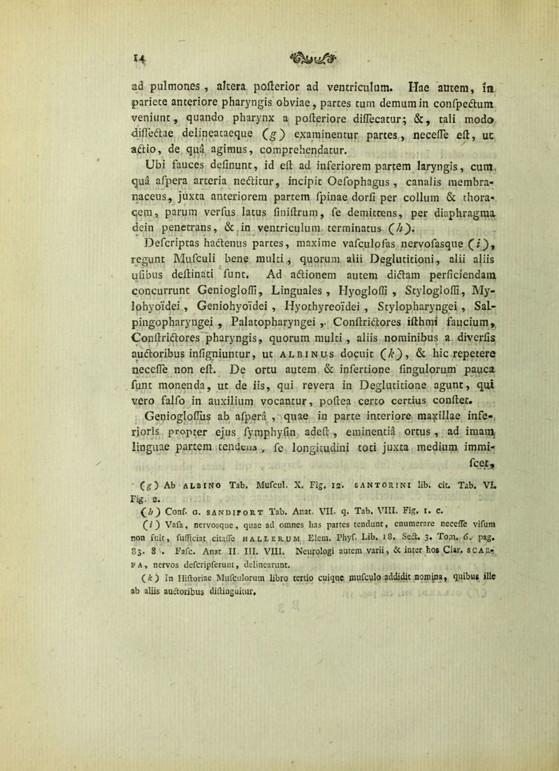 pariete anteriore pharyngis obviae, partes tum demum in confpeftum veniunt, quando pharynx a pofteriore diiTecatur; &, tali modo difledlae delineacaeque (^g) examinentur partes,, necefle eft, ut aftio, de qua^ agimus, comprehendatur. Ubi fauces definunt, id eft ad inferiorem partem laryngis, cum, qua afpera arteria nedlitur, incipit Oefophagus, canalis membra- naceus,^ juxta anteriorem partem fpinae dorfi per collum & thora- qem, parum verfus latus finillrum, fe demittens, per diaphragma dein penetrans, &jin ventriculum terminatus Defcriptas hadlenus partes, maxime vafculofas nervofasque CO» regunt Mufculi bene multi., quorum alii Deglutitioni, alii aliis ufibus deftinati funt. Ad aflionem autem diftam perficiendam concurrunt Genioglofii, Linguales, Hyogloffi , Styloglolli, My- lohyoidei , Geniohyoidei , Hyothyreoidei , Stylopharyngei, Sal- pingopharyngei , Palatopharyngei ,. Conilriftores ifthmi faucium,. Conflridlores pharyngis, quorum multi, aliis nominibus a diverfis auftoribus infigniuntur, ut albinus docuit ^ hic repetere necelTe non ell. De ortu autem & infertione fingulorum pauca funt monenda, ut de iis, qui revera in Deglutitione agunt, qui vero falfo in auxilium vocantur, poftea certo certius conftet. Genioglofilis ab afpera ,' quae in parte interiore mamillae infe-, rioris propter ejus fymphyfin adeR , eminentia ortus, ad imanif linguae partem tendcas , fe longitudini toti juxta medium immi- fcet, - (g) Ab ALBINO Tab. Mufcul. X. Fig. 12. bantorini lib. cit. Tab. VL Fig. e. Conf. G. SANDiFORT Tab. Anat. VII. q. Tab. VIII. Fig. i. c. (I) Vafa, nervosque, quae ad omnes has partes tendunt, enumerare necefle vifum non fuit, fuificiat ciuiTe hallerum Elem. Phyf. Lib, i8.. Sedi. 3. Tom, d. pag. 83. 8 . Fafc. Anat II. III. VIII. Neurologi autem varii ,& inter hos Clar. SCAR- PA, nervos defcripferunt, delinearunt. (il) In Hiftoriae Mufculorum libro tertio cuique mufculo addidit n9mina, quibus ille ab aliis audloribus diftinguitur.