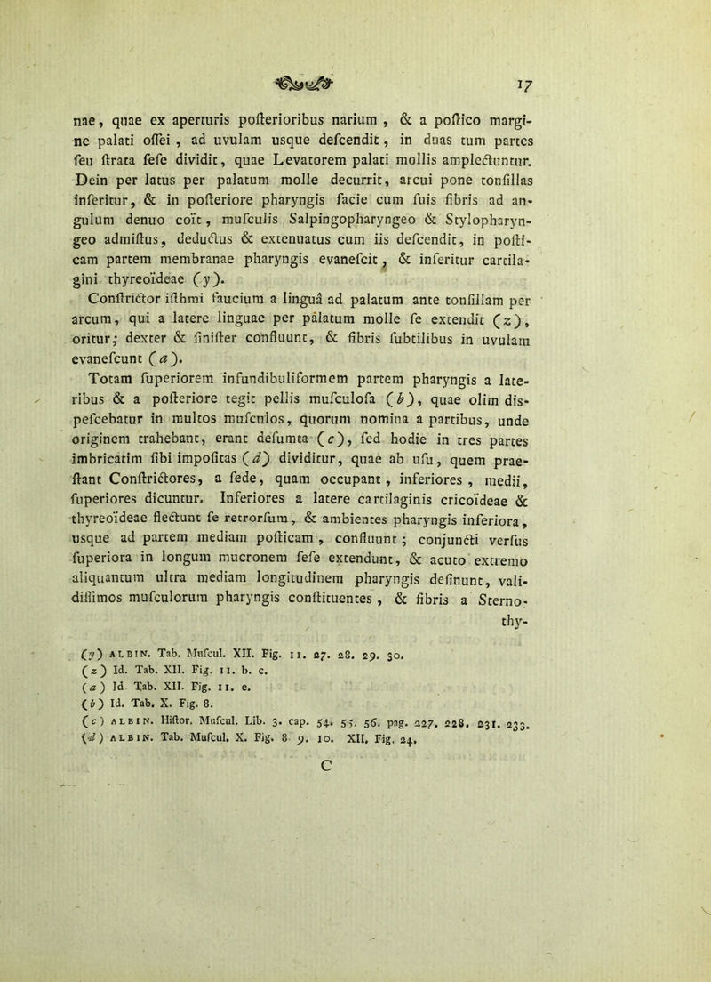 V nae, quae ex aperturis pofterioribus narium , & a poflico margi- ne palati oflei , ad uvulam usque defcendic, in duas tum partes feu ftrata fefe dividit, quae Levatorem palati mollis ampledluntur. Dein per latus per palatum molle decurrit, arcui pone tonfillas inferitur, & in pofteriore pharyngis facie cum fuis fibris ad an- gulum denuo coit, mufculis Salpingopharyngeo & Stylopharyn- geo admiflus, deduftus & extenuatus cum iis defcendit, in polli- cam partem membranae pharyngis evanefcit, & inferitur cartila- gini thyreoideae Cif)* Conftridlor ifihmi faucium a lingua ad palatum ante tonfillam per arcum, qui a latere linguae per palatum molle fe extendit (z), oritur,- dexter & finilter confluunt, & fibris fubtilibus in uvulam evanefcunt (<2}. Totam fuperiorem infundibuliformem partem pharyngis a late- ribus & a polleriore tegit pellis mufculofa quae olim dis- pefcebatur in multos mufculos, quorum nomina a partibus, unde originem trahebant, erant defumta (c), fed hodie in tres partes imbricatim fibi impofitas (i} dividitur, quae ab ufu, quem prae- fl-ant Conftridlores, a fede, quam occupant, inferiores , medii, fuperiores dicuntur. Inferiores a latere cartilaginis cricoideae & thyreoideae fledtunc fe retrorfum, & ambientes pharyngis inferiora, usque ad partem mediam pofticam , confluunt; conjundli verfus fuperiora in longum mucronem fefe extendunt, & acuto extremo aliquantum ultra mediam longitudinem pharyngis definunt, vali- diflimos mufculorura pharyngis conflituentes , & fibris a Sterno- thy- (y) ALBIN. Tab. Miifcul. XII. Fig. ii. 27. 28. 29. 30. (z ) Id. Tab. XII. Fig. ii. b. c. (a) Id Tab. XII. Fig. ii. e. Id. Tab. X. Fig. 8. (c) ALBIN. Hiftor. Mufcul. Lib. 3. cap. 54. 5^, 55, pag. 227. 223. 231. 233. {J) ALBIN. Tab, Mufcul. X. Fig. 8. 9, 10. XII, Fig. 24, C