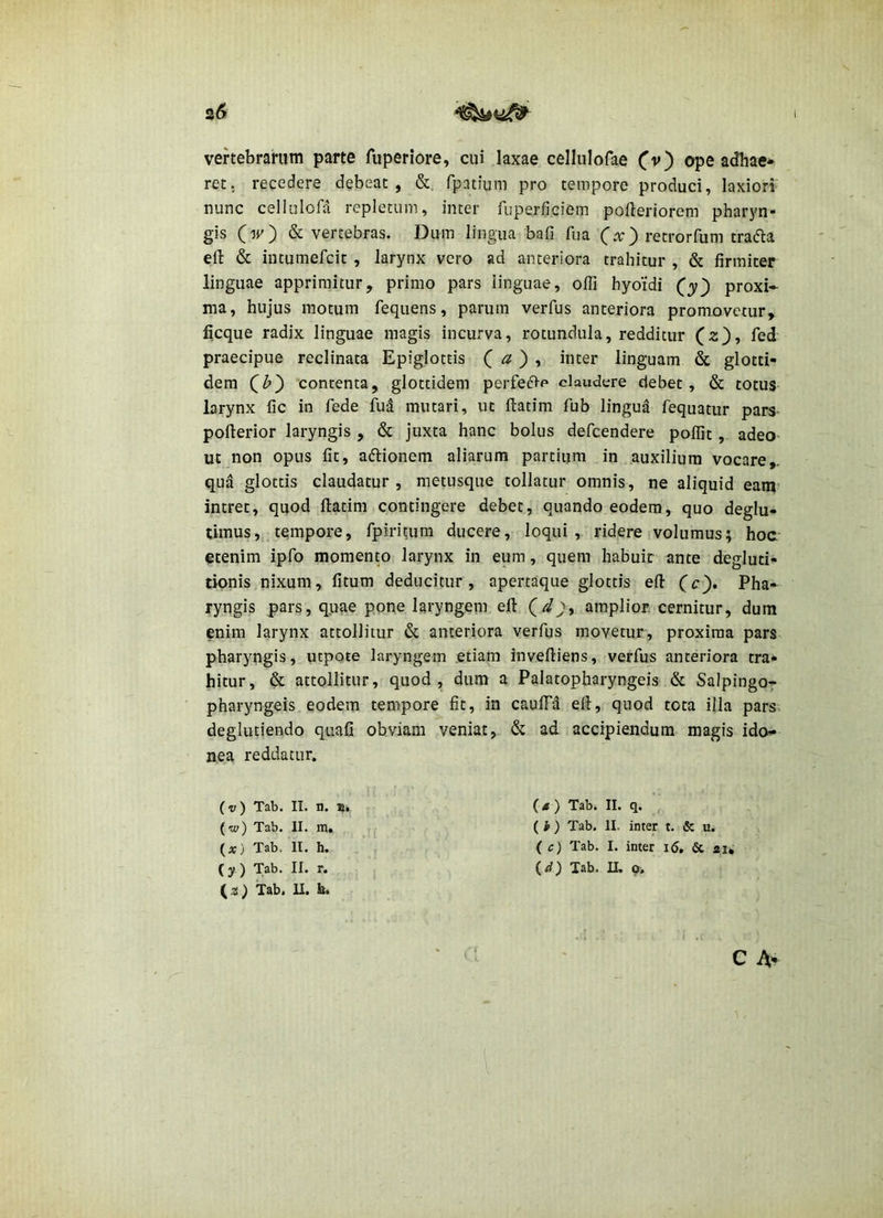 vertebrarum parte Aiperiore, cui laxae cellulofae (v) ope adhae* ret, recedere debeat, fpntium pro tempore produci, laxiori nunc celiiilofa repletum, inter ruperficiem pofteriorem pharyn- gis (iv) & vertebras. Dum lingua bafi fua (x) retrorfum tradla efl: & intumefcit , larynx vero ad anteriora trahitur , & firmiter linguae apprimitur, primo pars iinguae, offi hyoi‘di (y) proxi- ma, hujus motum fequens, parum verfus anteriora promovetur, ficque radix linguae magis incurva, rotundula, redditur (z), fed praecipue reclinata Epiglottis ( a ) ^ inter linguam & glotti- dem contenta, glottidem perfe6>p claudere debet, & totus larynx fic in fede fud mutari, ut flatim fub lingua fequatur pars- pofterior laryngis , & juxta hanc bolus defcendere poflit, adeo ut non opus fit, aftionem aliarum partium in auxilium vocare,, qua glottis claudatur , metusque tollatur omnis, ne aliquid eam’ intret, quod flatim contingere debet, quando eodem, quo deglu- timus, tempore, fpiritum ducere, loqui, ridere i volumus; hoc etenim ipfo momento larynx in eum, quem habuit ante degluti- tionis nixum, fitum deducitur, apertaque glottis efl: (c). Pha* ryngis pars, quae pone laryngem efl: amplior cernitur, dum enim larynx attollitur & anteriora verfgs movetur, proxima pars pharyngis, utpote laryngem etiam invefliens, verfus anteriora tra- hitur, & attollitur, quod, dum a Palatopharyngeis & Salping07 pharyngeis eodem tempore fit, in caufFd ell, quod tota illa pars, deglutiendo quafi obviam veniat, & ad accipiendum magis ido- nea reddatur. (v) Tab. II. n. (w) Tab. II. m. (^x) Tab. II. h. Tab. II. b. ‘ : C A- (4) Tab. II. q. ( i ) Tab. II. inter t. & u. ( c) Tab. I. inter 16, & ai*
