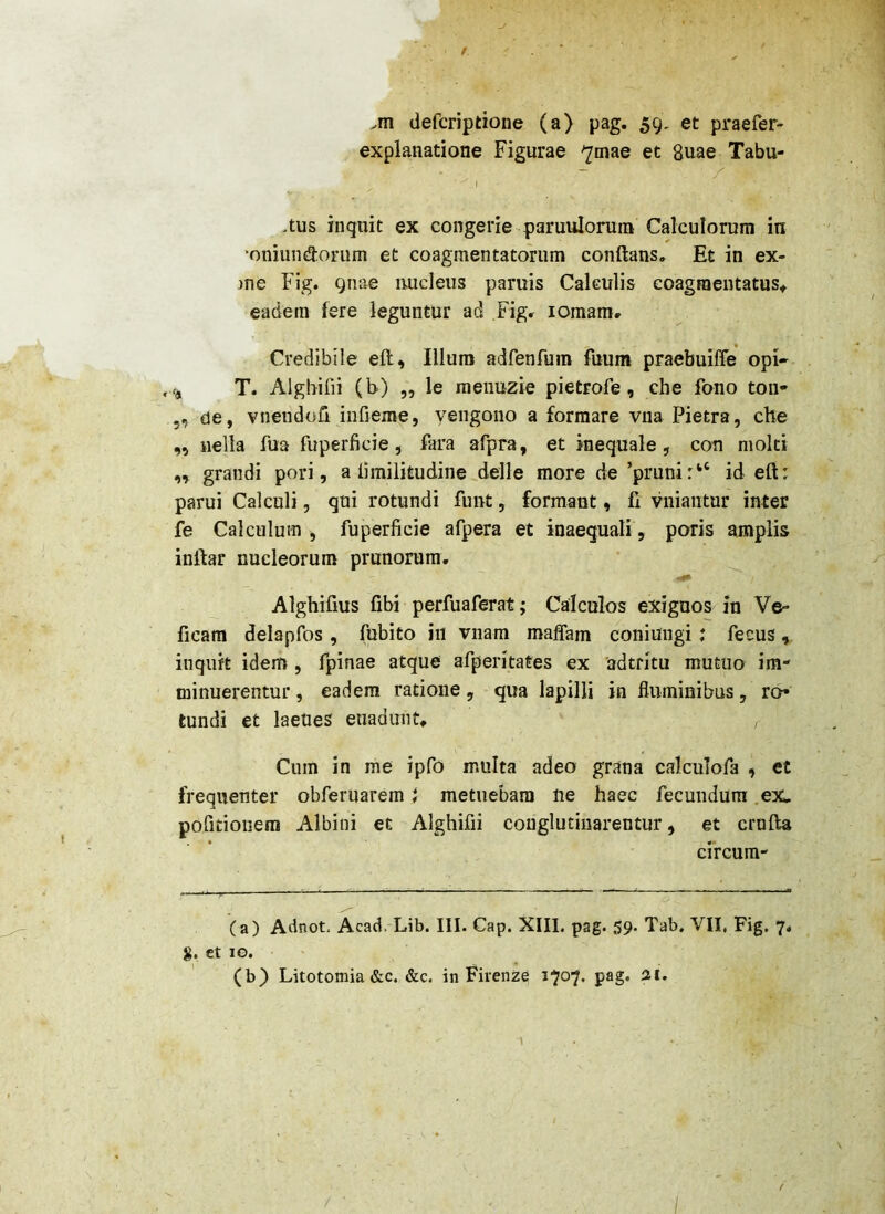 .m defcriptione (a) pag. 59, et praefer- explanatione Figurae 7mae et Suae Tabu- ■ I >tus inquit ex congerie paruulorum Calculorum in ‘oniundorum et coagmentatorum conftans. Et in ex- me Fig. gnae nucleus paruis Calculis coagmentatus^ eadem fere leguntur ad Figr lomamr Credibile eft. Illum adfenfum fuum praebuiffe opi» T. Alghifii (b) „ le raeiiuzie pietrofe, che fono ton- 5, de, vnendofi infieme, yengono a formare viia Pietra, che ,, uella fua fuperficie, fara afpra, et inequale, con molti „ grandi pori, a iimilitudine delle more de ’pruni:“ id eft: parui Calculi, qui rotundi funt, formant, ft vniantur inter fe Calculum , fuperficie afpera et inaequali, poris amplis inftar nucleorum prunorum, Alghifius fibi perfuaferat; Calculos exiguos in Ve- ficam delapfos, fubito iii vnam maffam coniungi: fecus, inquit idem, fpinae atque afperitates ex adtfitu mutuo im- minuerentur , eadem ratione, qua lapilli io fluminibus, ro* tundi et laeues enadunt. Cum in me ipfo multa adeo grana calculofa , et frequenter obfernarem \ metuebam ne haec fecundum .ex;, pofitioiiem Albini et Alghifii conglutinarentur ^ et crnfta ciVcum- (a) Adnot. Acad, Lib. III. Cap. XIII. pag. 59. Tab. VII, Fig. 7, et IO. (b_) Litotomia &c. &c. in Firenze i'?o7. pag. ai. / •