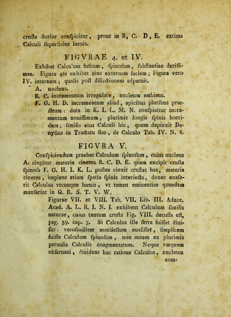 crufta durior conrpicitur, prout iu B, C. D, E. extima Calculi fuperficies laeuis. fT FIGVRAE 4. et IV. Exhibet Calcu-UHi fufcuin , fpinofum, fubflaiitiae duriffi* mae. Figura 4ta exhibet eius exteruam faciem ; Figura vero IV. internam ; qualis poft diffedionem adparuit. nudeus. B. C. incrementum irregulare, nucleum ambigis. F. G. H. D. incrementum aliud, apicibus pluribus prae- ditum : ddn in K. !♦ L. M. N. confpicitur incre- mentum nouHTimum, plurimis longis fpinis horri- dum; fimilis eius Calculi hic, quem depinxit De- iiyhus in Tradatu fuo, de Calculo Tab. IV. N. 6. FIGVRA V. Confpidendum praebet Calculum ^fpinofum , cuhis nucleus A. cingitur materie cinerea B. C. B. E. quam excipit cruda fpinofa F. G. H. I. K. L. poftea cinxit cruftas has, materia cinerea, implens etiam fpatia fpinis interieda, donec euafe- rit Calculus vtcunque laeuis, vt tamen eminentiae quaedam manferint in Q. R. S. T. V. W. Figurae VII. et VIII. Tab. VIL Lib. III. Adiiot. Acad. A. L. B, I. N, I. exhibent Calculum fimilis naturae, cuius tantum crufta Fig. VIII. decuffa eft, pag. 59. cap. 3. Si Calculus ille ferra fuilfet diui- fus: verofiiniliter manifettum euafiffet, fimplicera fuiffe Calculum fpinofum , non autem ex plurimis paruulis Calculis coagmentatura. Neque vmquam obferuaui, diuideiis hac ratione Calculos, nuclemm com-  rh -