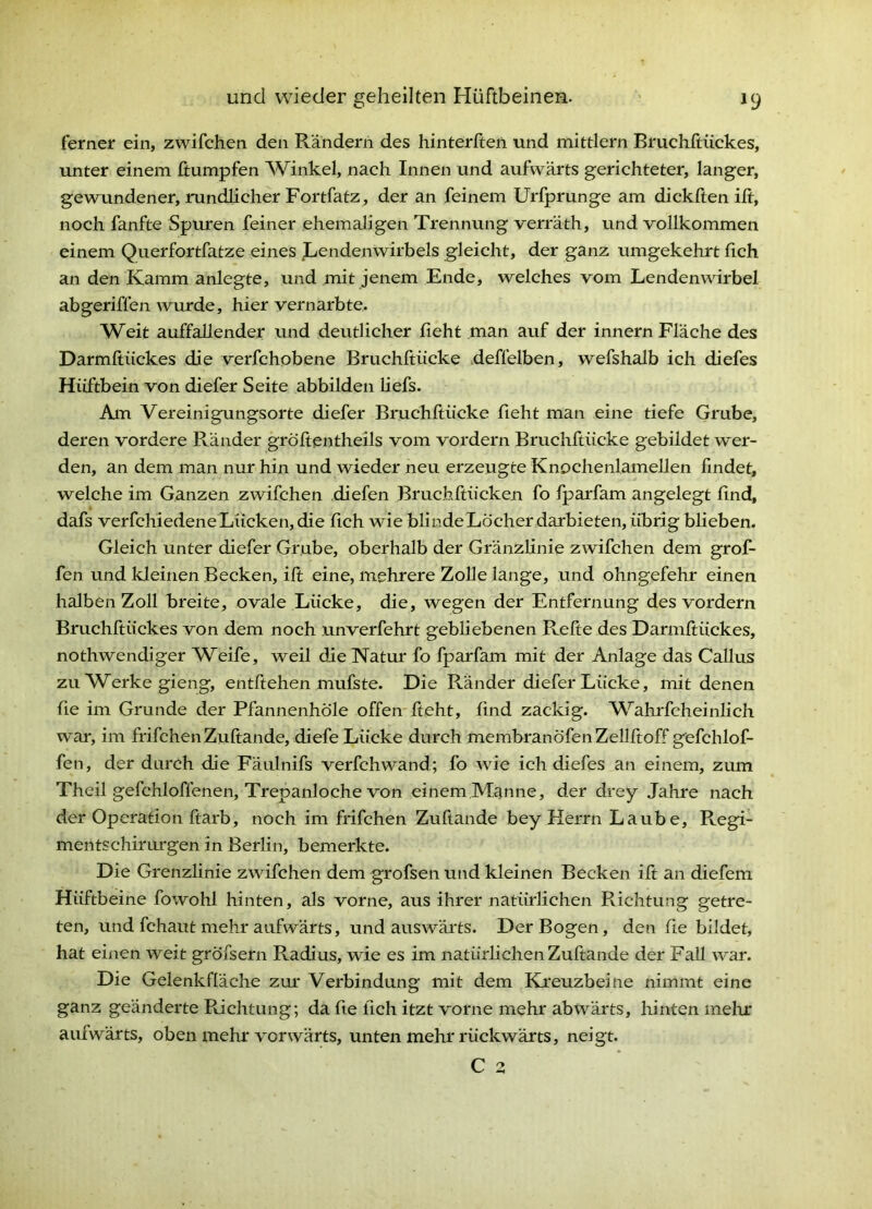 ferner ein, zwifchen den Rändern des hinterften und mittlern Bruchftückes, unter einem fiumpfen Winkel, nach Innen und aufwärts gerichteter, langer, gewundener, rundlicher Fortfatz, der an feinem Urfprunge am dickften ift, noch fanfte Spiuren feiner ehemaligen Trennung verräth, und vollkommen einem Querfortfatze eines .Lendenwirbels gleicht, der ganz umgekehrt fich an den Kamm anlegte, und mit jenem Ende, welches vom Lendenwirbel abgeriffen wurde, hier vernarbte. Weit auffallender und deutlicher lieht man auf der innern Fläche des Darmftückes die verfchobene Bruchftücke deffelben, wefshalb ich diefes Hüftbein von diefer Seite abbilden hefs. Ana Vereinigungsorte diefer Bruchftücke fieht man eine tiefe Grube, deren vordere Ränder gröftentheils vom vordem Bruchftücke gebildet wer- den, an dem man nur hin und wieder neu erzeugte Knochenlamellen findet, welche im Ganzen zwifchen diefen Bruchftücken fo fparfam angelegt find, dafs verfchiedeneLücken, die lieh wie blindeLöcher darbieten,übrig blieben. Gleich unter diefer Grube, oberhalb der Gränzlinie zwifchen dem grof- fen und kleinen Becken, ift eine, mehrere Zolle lange, und ohngefehr einen halben Zoll breite, ovale Lücke, die, wegen der Entfernung des vordem Bmchftückes von dem noch unverfehrt gebliebenen Refte des Darmftückes, nothwendiger Weife, weil die Natur fo fparfam mit der Anlage das CaUus zu Werke gieng, entftehen mufste. Die Ränder diefer Lücke, mit denen fie im Grunde der Pfannenhöle offen-fteht, find zackig. Wahrfcheinlich war, im frifchen Zuftande, diefe Lücke durch membranöfenZeUftoff gefchlof- fen, der durch die Fäulnifs verfchwand; fo wie ich diefes an einem, zum Theil gefchloffenen, Trepanloche von einem Manne, der drey Jahre nach der Operation ftarb, noch im frifchen Zuftande bey Herrn Laube, Regi- mentschirurgen in Berlin, bemerkte. Die Grenzlinie zwifchen dem grofsen und kleinen Becken ift an diefem Hüftbeine fowohl hinten, als vorne, aus ihrer natürlichen Richtung getre- ten, und fchaut mehr aufwärts, und auswärts. Der Bogen, den fie bildet, hat einen weit gröfsern Radius, wie es im natürhehen Zuftande der Fall war. Die Gelenkfläche zur Verbindung mit dem Kreuzbeine nimmt eine ganz geänderte Pachtung; da fie fich itzt vorne mehr abwärts, hinten mehr aufwärts, oben mehr vorwärts, unten mehr rückwärts, neigt.