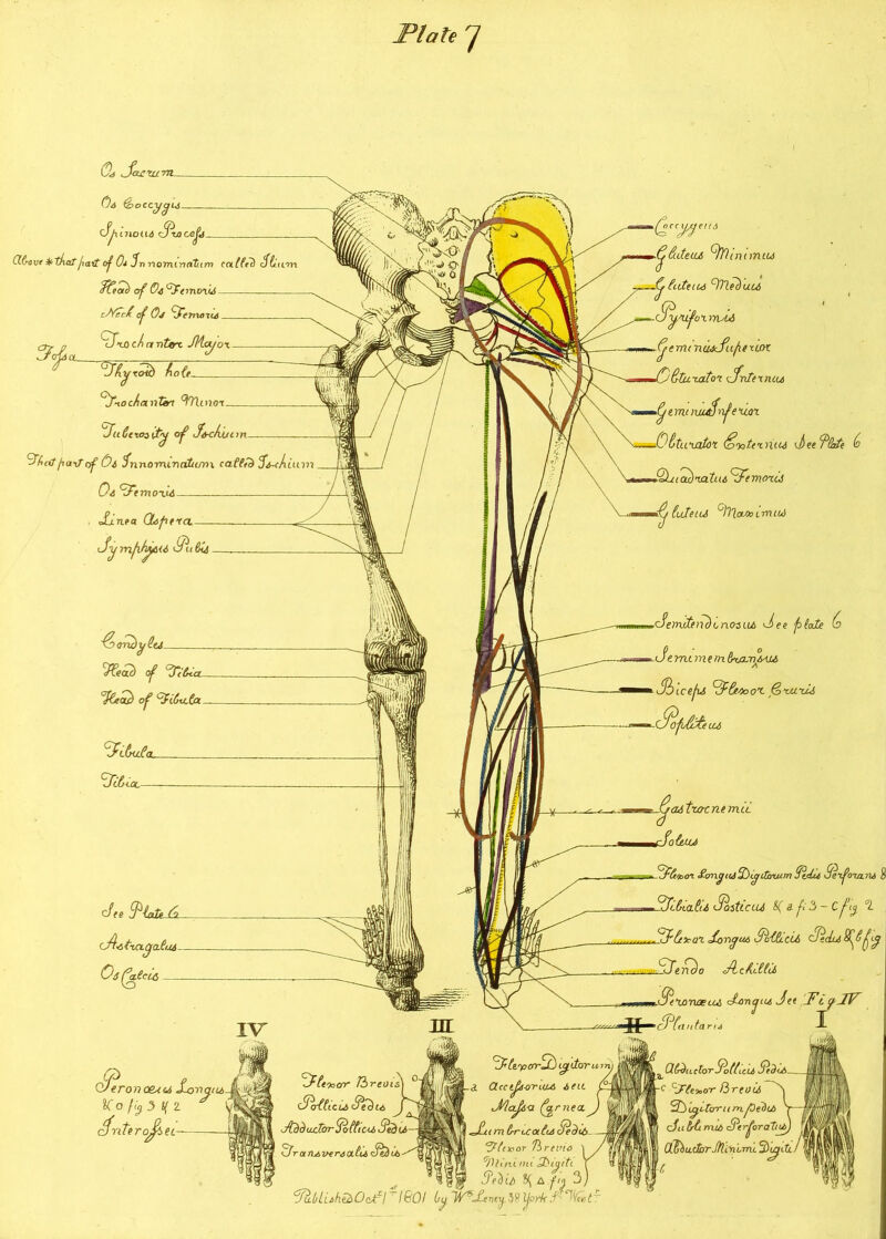 Plate 7 ffljS tt&ovt kthaf jiait of 0* 3'nnomiYiattm calf ft) ofli. ffieotb of 0& tyemtnLi c//cc( of Oj \J^en%oiL6 <3»J, 11 ntere. JJdoyox ~fJAyrotd fio(t SiocAexntert 97U dJtt dexoo ity of S&c/ui 'Jhcit fiaxtof Oi dfnnomcn attorn caCltd S<s-c/ turn Oa SemoxtA Xi nea Gb/itra. tJ’ij mfihpA<6 <9\i 6U A orujy deJ IV &WtU .(j&iteuA tyftinimtu Jy fiiteuA cY)'lee)u.U> cPyAfoxivAi (jeminuAzfufexLcrt S-tuxatox jfntexruu Pytmn uutfnfe XLOX —O&tuxaUx <SiottiniiA <Jee fSA (0 Shia^xatiu 3emaxcJ tuleui A'lounnrntul cfeinCteiichjnoMU) J>ee p(aie (s Je me mem dx/uiMU Jbicefs PdF&Aoox. (otuxcA Qt SofMe ecu hronoeAtA S> olero noeAU j-on iCo fly 3 Y 2. * wlj 3ntero^et- Sdoocrr ft reois Sod die la dfei)ia JCddacTorJoddicU, dPedu Plraru,-aerAaCudf&hb 3 (tysorjd) tyilor urn d a.ectid-OTL<i& A etc far nea. St imCrrLCocCuSi^lb ^(noor 7)> re in a mi Obiytti aitxo-cntmtL odejuu 36 qoox £onyitA2)ytttmwn Jtdit Setfaxani { 3i.ha.dU SaituiU &(af'3-cfiji °l ffdeorcix JxmyuA SoCdtcii Sedu SJzm)o AzAMu S'fumezcu SmcjttA Jet FiyPF U” cPfetntaru Ctdrdti ctorJod/icu diedu. c Flttocrr ftreOU 2dhyt-tcrru m peekA Ju (rti mtA FtforaTiU^ OiljbuctbrJIli'nimi S^riZt r|? Ft’3(7 ^ A 7'j| 3 Fliljlie>htbO<Fl 1801 Ijy IV^Sneyi# Ifotk f -3fut~