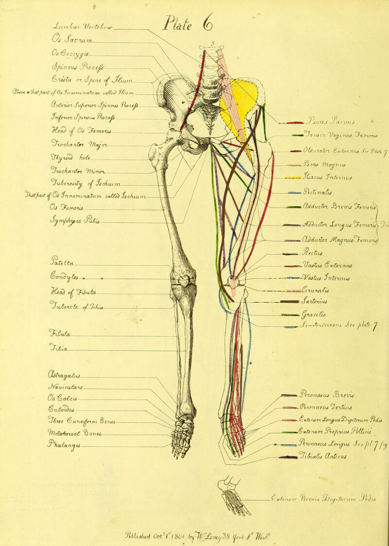4 JLinnfi-ar clfertefji- d Sacrum Cf ^sto ccygU S/unouj Sioctjjfs & hhstx OX dju ne <fJeu cm CtCovt * tkafJiaiJt of O4 S?n notrtj, Nfttu m fajffij) ffi, Clntexun. Sufi exwx Sfii nous two I t Oj JFernoiu, aieojo Szo-cAanfox 9?Za^ OX- tft^ zoui ficrCt tzcck a.nt«z tlV.nox. °Jact treS-dy, of Sc/iunn 3hdtfait of Cj Snnomcnatum ca-CCSd St^/iujuvi Oj temoru Symjxk^ix/, Sit id Sate (oont)y,Ce,3 St ad cf ’\f dm.to- ScuSexc It—y 6Jit,t Sitzau^cutui JVa.incihCa.iJt Oi '(oadcu - (o a Cold eh Site &u.t\tcfoxm 8 rftlctouiaxt o-C cmei Shotfjirij a J\oxtd J\it- mid ^e HA-OX SJacf l ricuz ■SS<t frtonxo 0 Ctm.a.to-1. Sntdx. n ujs Jtc Tfntr Sbocu 'YYla^nud S(ia.c(.u) SnTe-tnud 7 Ptcll n aZu OLdductox 3b xe'Uiij % mox cd\ iAZdeutox J-cmoflus ZfemoxlZ % ddductoi JKoLCjmcSfanoua] Sectiu ZlZadtua <Scotei.niu> 1 Tintcxniuj -&xu/cnfu, Socitnuu clCu Jinto A dJ J)ec flute ^ SexonaeUd Sbxtvu (PtxonaeUi Jextend Ziotc njoz £cmc^ud tJdtxjttoij.ori Zedus &ioti!Ti60x S\oJl%llU> f^o-tCc CU Stiortaeuu JtcmcjuA JJlh Sifncttui (ZnZ ecu bjatenior /irtind ZJj laitar un\ Jechd 6ii uiUdhed Ooh / 1 $01 tnjlt/ S^ency'^ft jorh S H/coix
