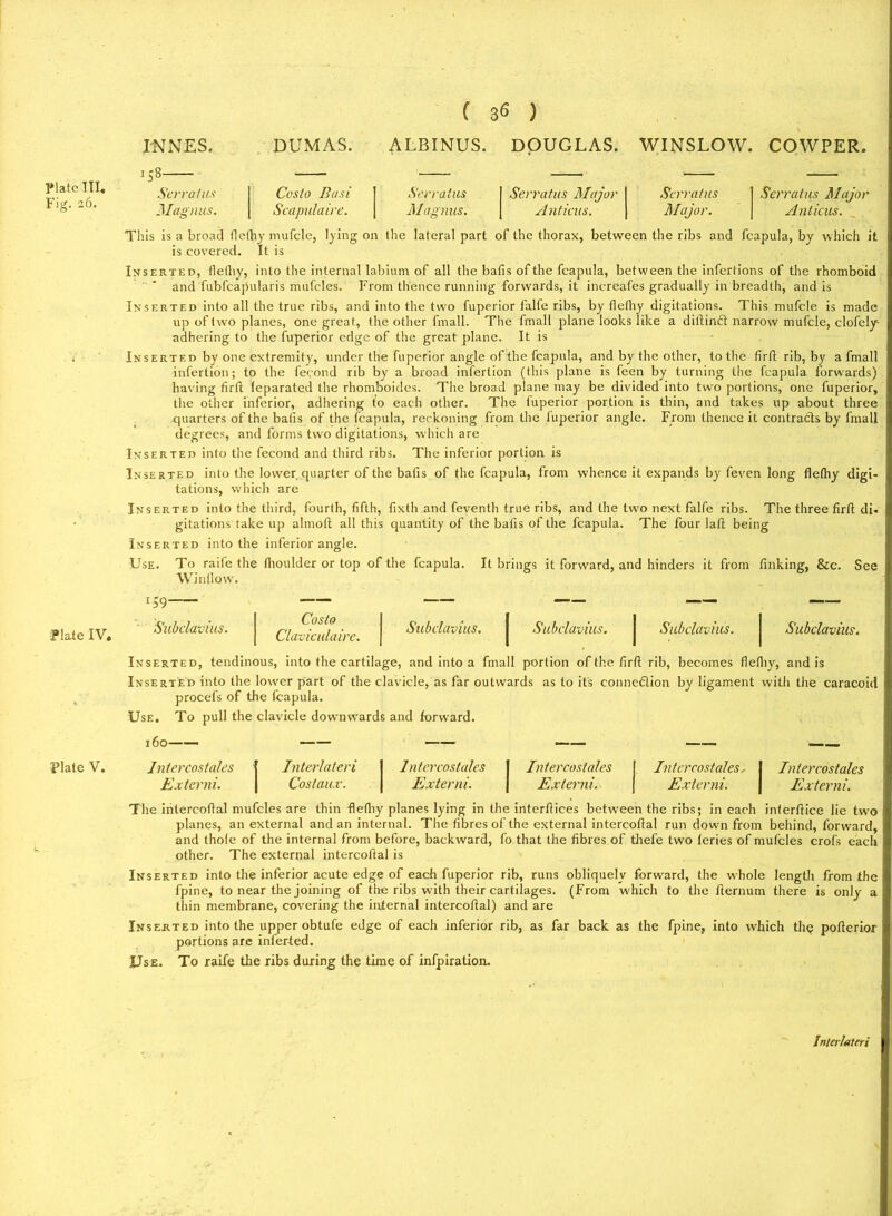 Fig. 26. Plate IV. Plate V. ( 36 ) INNES. DUMAS. ALBINUS. DOUGLAS. WINSLOW. COWPER. 158 Scrra/us Magnus. Costo Basi Scapulaire. Serratus Magnus. Serratus Major A nticus. II ^3 Serratus Major Anticus. This is a broad tlcfby mufcle, lying on the lateral part of the thorax, between the ribs and fcapula, by which it is covered. It is Inserted, flethy, into the internal labium of all the bafis of the fcapula, between the infcrtions of the rhomboid and fubfcapularis mufcles. From thence running forwards, it increafes gradually in breadth, and is Inserted into all the true ribs, and into the two fuperior falfe ribs, by flefhy digitations. This mufcle is made up of two planes, one great, the other fmall. The fmall plane looks like a dillindt narrow mufcle, clofely adhering to the fuperior edge of the great plane. It is Inserted by one extremity, under the fuperior angle of the fcapula, and by the other, to the firft rib, by a fmall infertion; to the fecond rib by a broad inferlion (this plane is feen by turning the fcapula forwards) having firft (eparated the rhomboides. The broad plane may be divided into two portions, one fuperior, the other inferior, adhering to each other. The tuperior portion is thin, and takes up about three quarters of the bafis of the fcapula, reckoning from the fuperior angle. From thence it contracts by fmall degrees, and forms two digitations, which are Inserted into the fecond and third ribs. The inferior portion is Inserted into the lower quarter of the bafis of the fcapula, from whence it expands by feven long flethy digi- tations, which are Inserted into the third, fourth, fifth, fixth and feventh true ribs, and the two next falfe ribs. The three firfi di« gitations take up almoft all this quantity of the bafis of the fcapula. The four laft being Inserted into the inferior angle. Use. To raife the flioulder or top of the fcapula. It brings it forward, and hinders it from finking, &c. See Winflow. 159 Subclavius. Costo Claviculaire. Subclavius. Subclavius. Subclavius. Subclavius. Inserted, tendinous, into the cartilage, and into a fmall portion of the firft rib, becomes flethy, and is Inserted into the lower part of the clavicle, as far outwards as to its connexion by ligament with the caracoid procefs of the fcapula. Use. To pull the clavicle dowmwards and forward. 160——■ Jn/ercosfales j Interlateri I Intercostales 1 Intercostales Inter cost ales. Intercostales Externi. Costaux. Externi. 1 Externi. Externi. Externi. The inlercoftal mufcles are thin flethy planes lying in the interftices between the ribs; in each inferftice lie two planes, an external and an internal. The fibres of the external intercoftal run down from behind, forward, and thole of the internal from before, backward, fo that the fibres of thefe two leries of mufcles crofs each other. The external intercoftal is Inserted into the inferior acute edge of each fuperior rib, runs obliquely forward, the whole length from the fpine, to near the joining of the ribs with their cartilages. (From which to the fternum there is only a thin membrane, covering the internal intercoftal) and are Inserted into the upper obtufe edge of each inferior rib, as far back as the fpine, into which the pofterior portions are inferted. Use. To raife the ribs during the time of infpiration. Interlateri