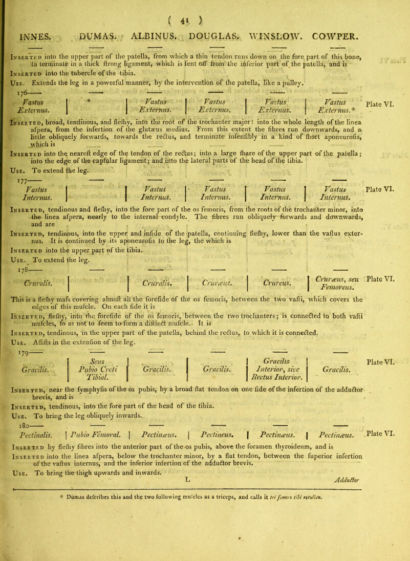 INNES. DUMAS. ALBINUS. DOUGLAS. WINSLOW. COWPER. Inserted into the upper part of the patella, from which a thin tendon runs down on the fore part of this bone, to terminate in a thick ftrong ligament, which is fent oil' from the inferior part of the patella, and is Inserted into the tubercle of the tibia. Use. Extends the leg in a powerful manner, by the intervention of the patella, like a pulley. Vastus I * ; Vastus Vastus Vastus Vastus Externus. J J Externus. | Externus. | Externus. Externus. * Inserted, broad, tendinous, and flefliy, into the root of the trochanter major: into the whole length of the Iinea afpera, from the infertion of the glutaeus medius. From this extent the fibres run downwards, and a little obliquely forwards, towards the redtus, and terminate infenfibly in a kind of fliort aponeurofis, which is _ . . Inserted into the neareft edge of the tendon of the redtus; into a large lhare of the upper part of the patella; into the edge of the capfular ligament; and into the lateral parts of the head of the tibia. Use. To extend the leg. 177 Vas lus Interims. Vastus Interims. Vastus Interims. Vastus Internus. Vastus Interims. Inserted, tendinous and flethy, into the fore part of the os femoris, from the roots of the trochanter minor, into the linea afpera, nearly to the internal condyle. The fibres run obliquely forwards and downwards, and are Inserted, tendinous, into the upper and infide of the patella, continuing flefliy, lower than the vaflus exter- nus. It is continued by its aponeurofis to the leg, the which is Inserted into the upper part of the tibia. Use. To extend the leg. Cruralis. Cruralis. Crurceus. Crureus. Crurceus, sell Femoreus. This is a flefhy mafs covering almofl all the forefide of the os femoris, between the two vafii, which covers the edges of this mufcle. On each fide it is Inserted, flefliy, into the forefide of the os femoris, between the two trochanters; is connected to both vafii mufcles, fo as not to feem to form a diflindt mufcle, It is Inserted, tendinous, in the upper part of the patella, behind the redtus,. to which it is connected. Use. Aflifts in the extenfion of the leg. J79- Gracilis. Sous Pubio Crcti Gracilis. Gracilis. Gracilis Interior, sive Gracilis Tibial. Rectus Interior. ~~ Inserted, near the fymphyfis of the os pubis, by a broad fiat tendon on one fide of the infertion of the adductor brevis, and is Inserted, tendinous, into the fore part of the head of the tibia. Use. To bring the leg obliquely inwards. Pectinalis. ] Pubio Femoral. | Pectin crus. | Pectineus. | Pectinceus. | Pectinceus. Inserted by flefliy fibres into the anterior part of the os pubis, above the foramen thyroideum, and is Inserted into the linea afpera, below the trochanter minor, by a flat tendon, between the fuperior infertion of the vaflus internus, and the inferior infertion of the addudtor brevis. Use. To bring the thigh upwards and inwards. L Addufior * Dumas defcribcs this and the two following mufcles as a triceps, and calls it tiifcmoio tili rttulien. Plate VI. Plate VI. Plate VI. Plate VI.